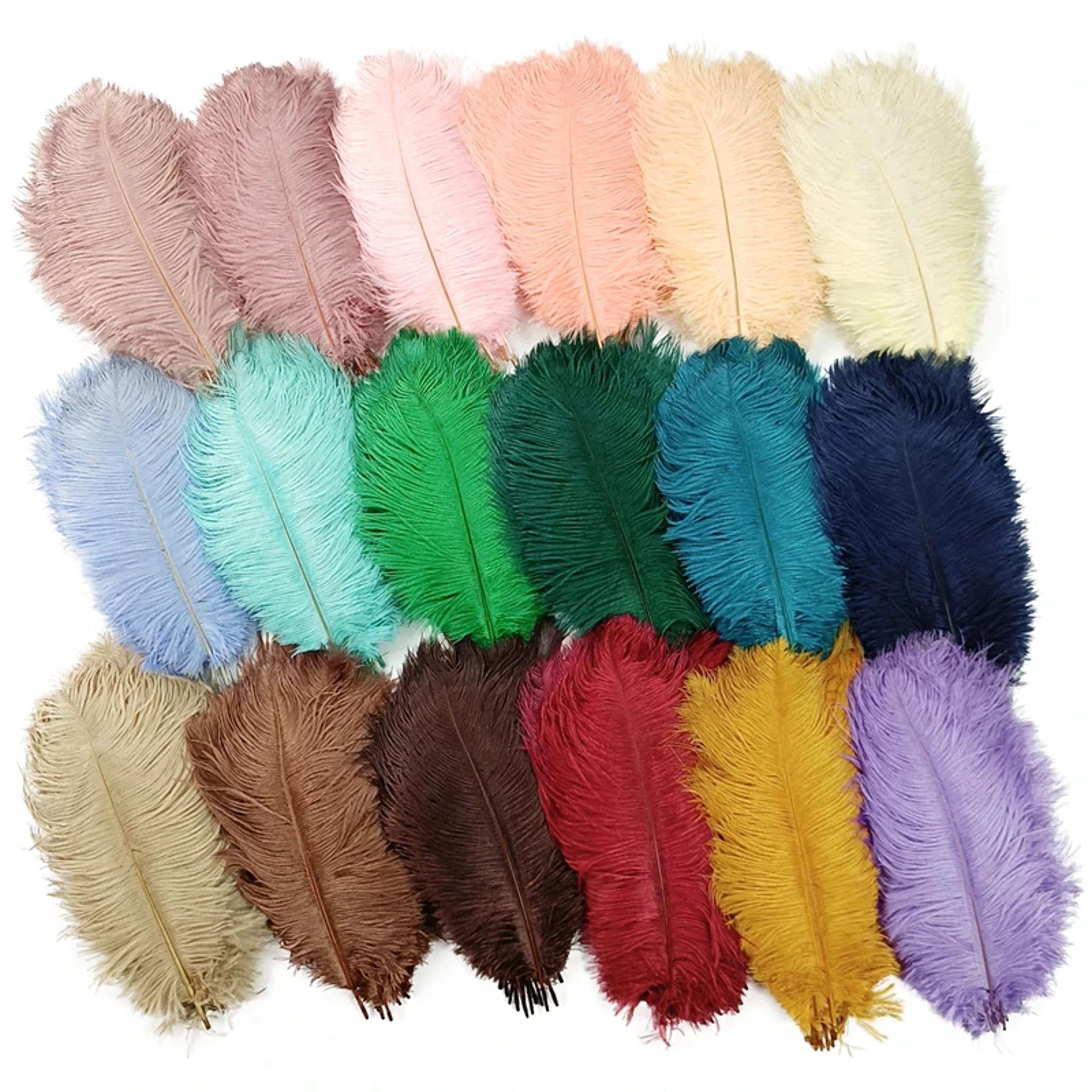 Colored Ostrich Feathers For Crafts Wedding  Event Decoration Handicraft Accessories For Table Cent 0