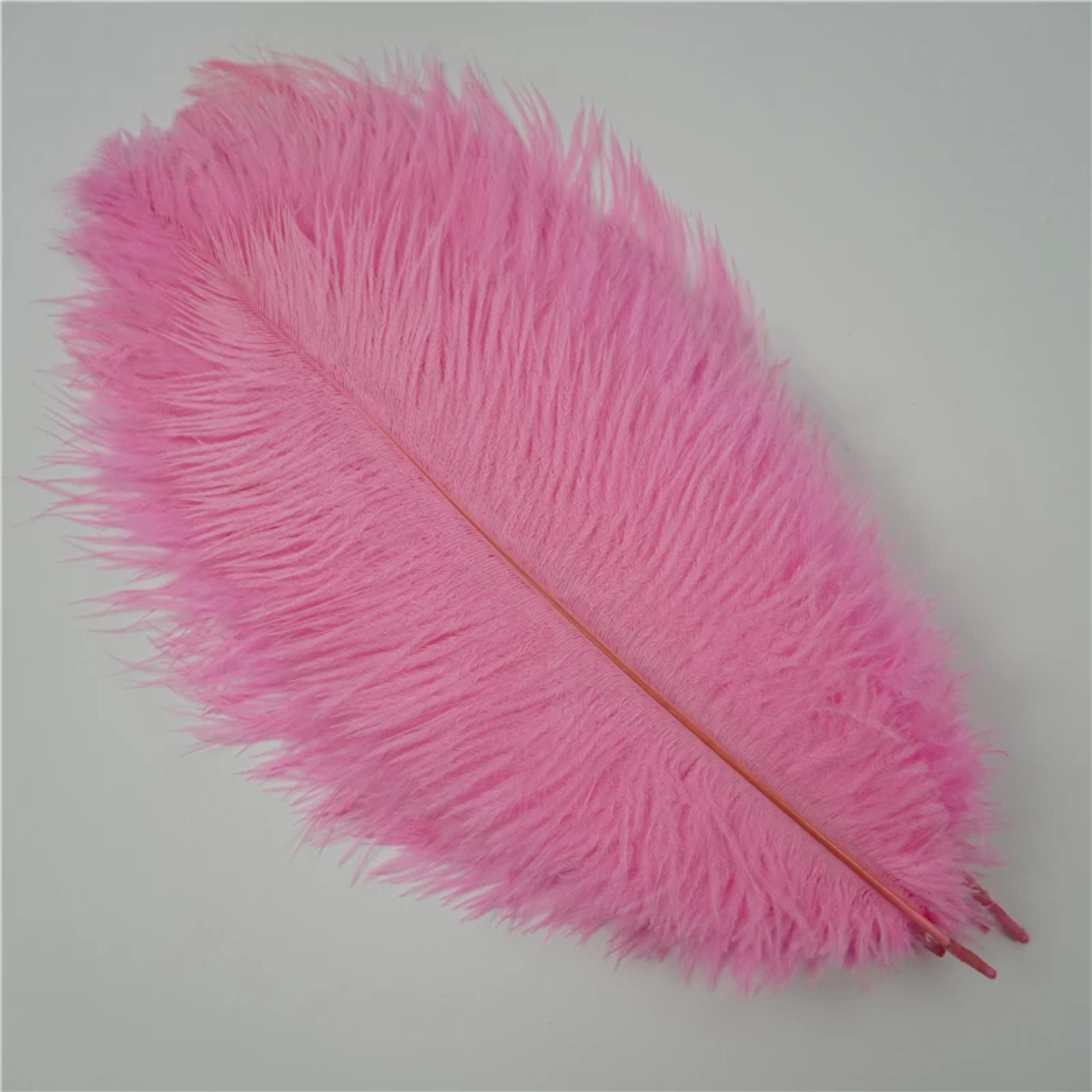 Colored Ostrich Feathers For Crafts Wedding  Event Decoration Handicraft Accessories For Table Cent 17