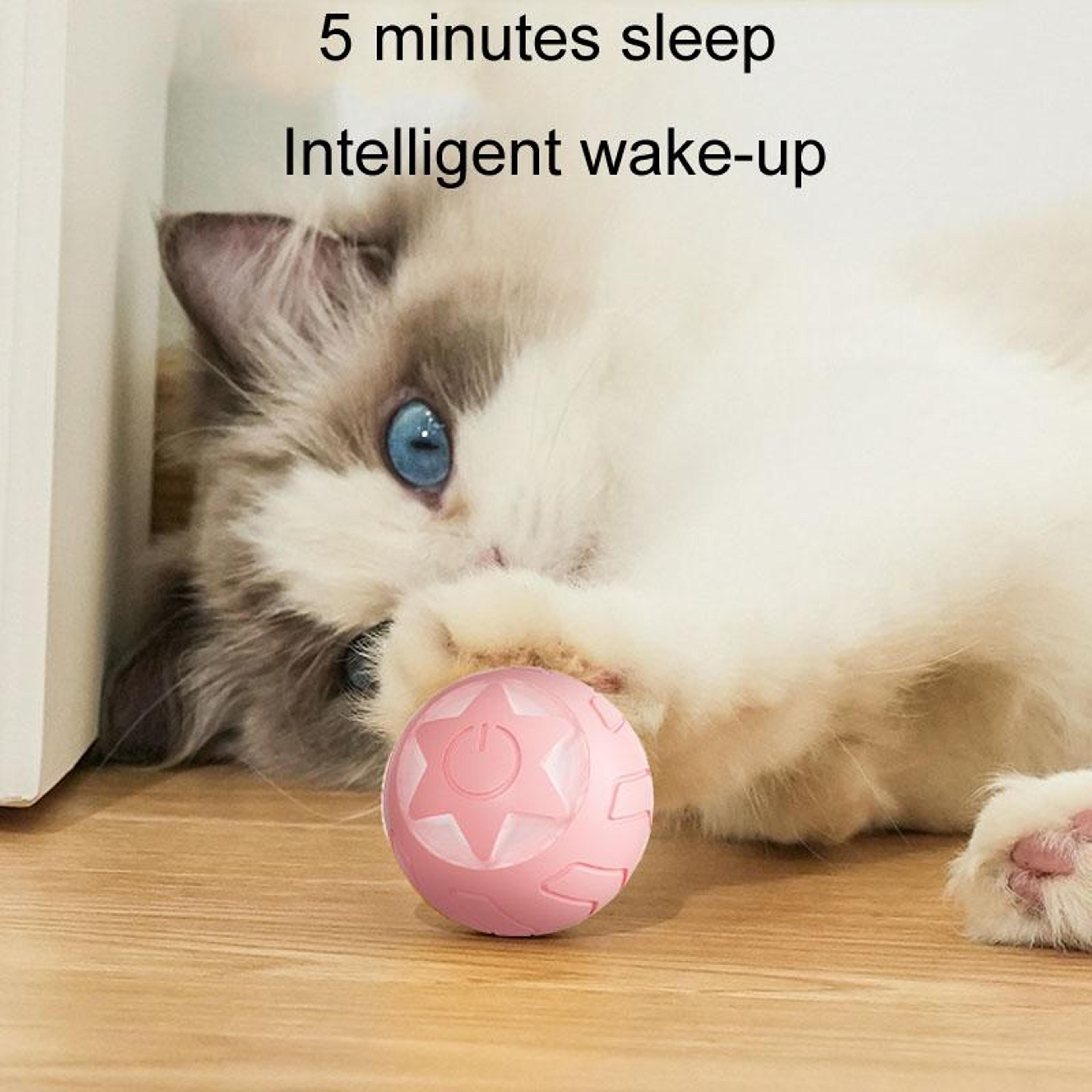 Smart Interactive Cat Ball Toy With LED Light And Motion Sensor For Indoor Pets 6