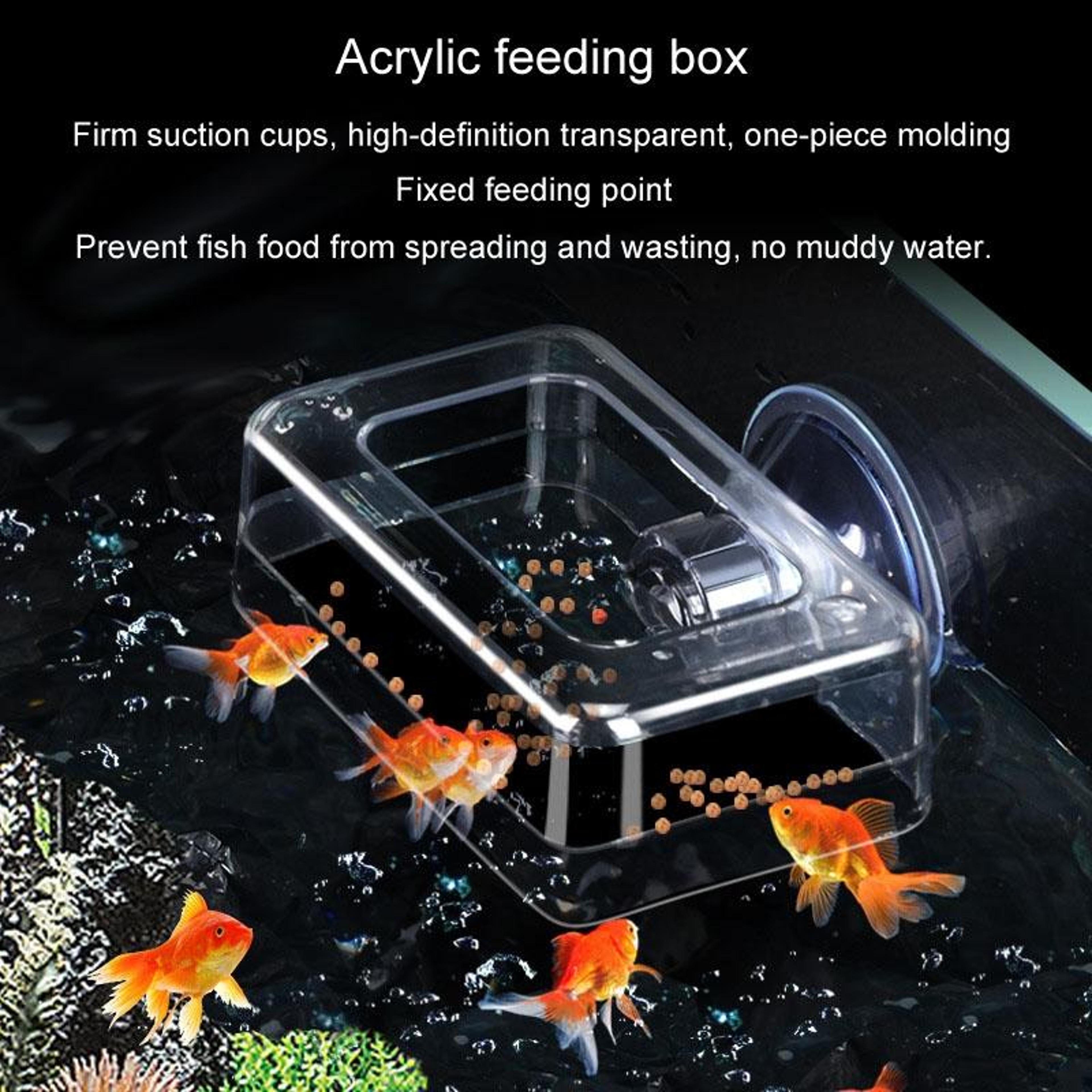 Acrylic Fish Tank Feeder Ring Floating Aquarium Feeding Ring With Suction Cup For Clean Feeding 4