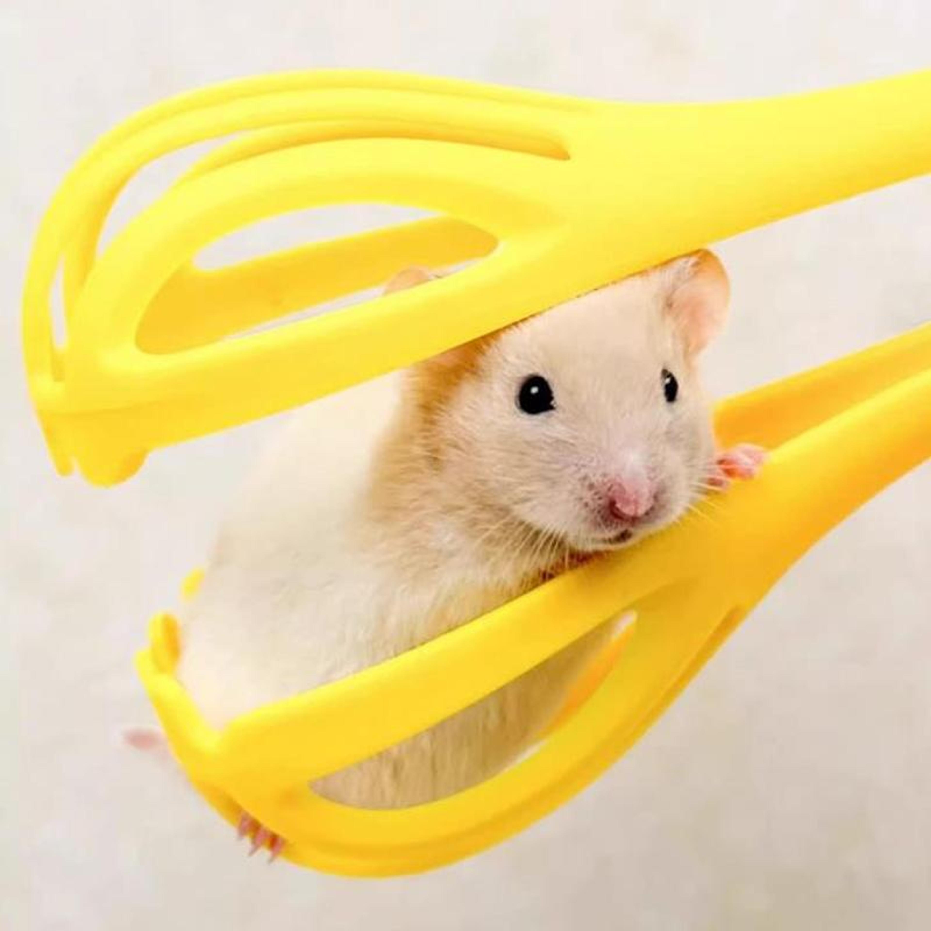 HighVisibility Hamster Catcher Clip Cage With Ventilated Design And Secure Lock 8