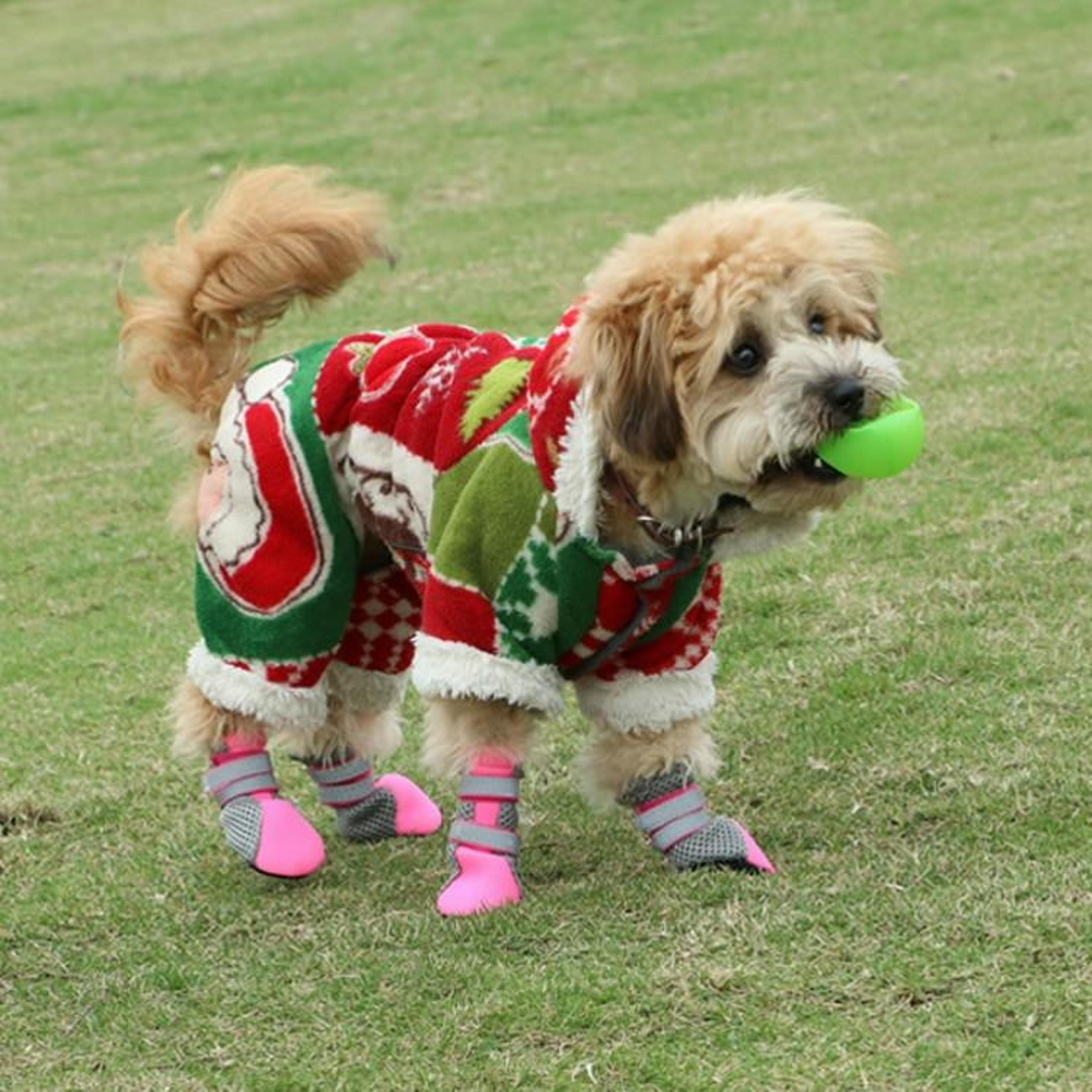 Waterproof AntiSlip Dog Boots For Small Dogs Breathable Pet Shoes With Reflective Safety 1