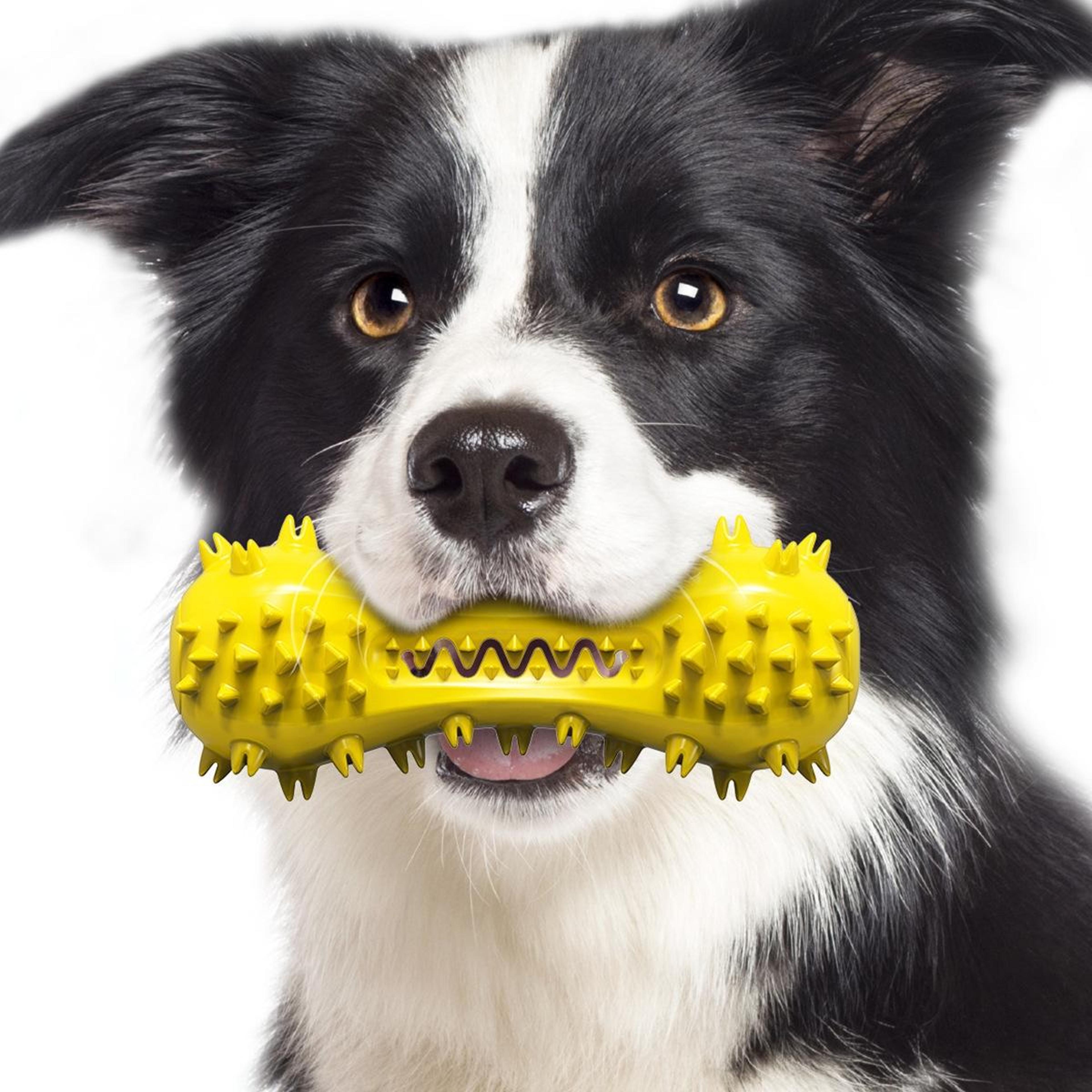 Interactive Dog Chew Toy Dental Cleaning Bone For Aggressive Chewers With Squeaker 6