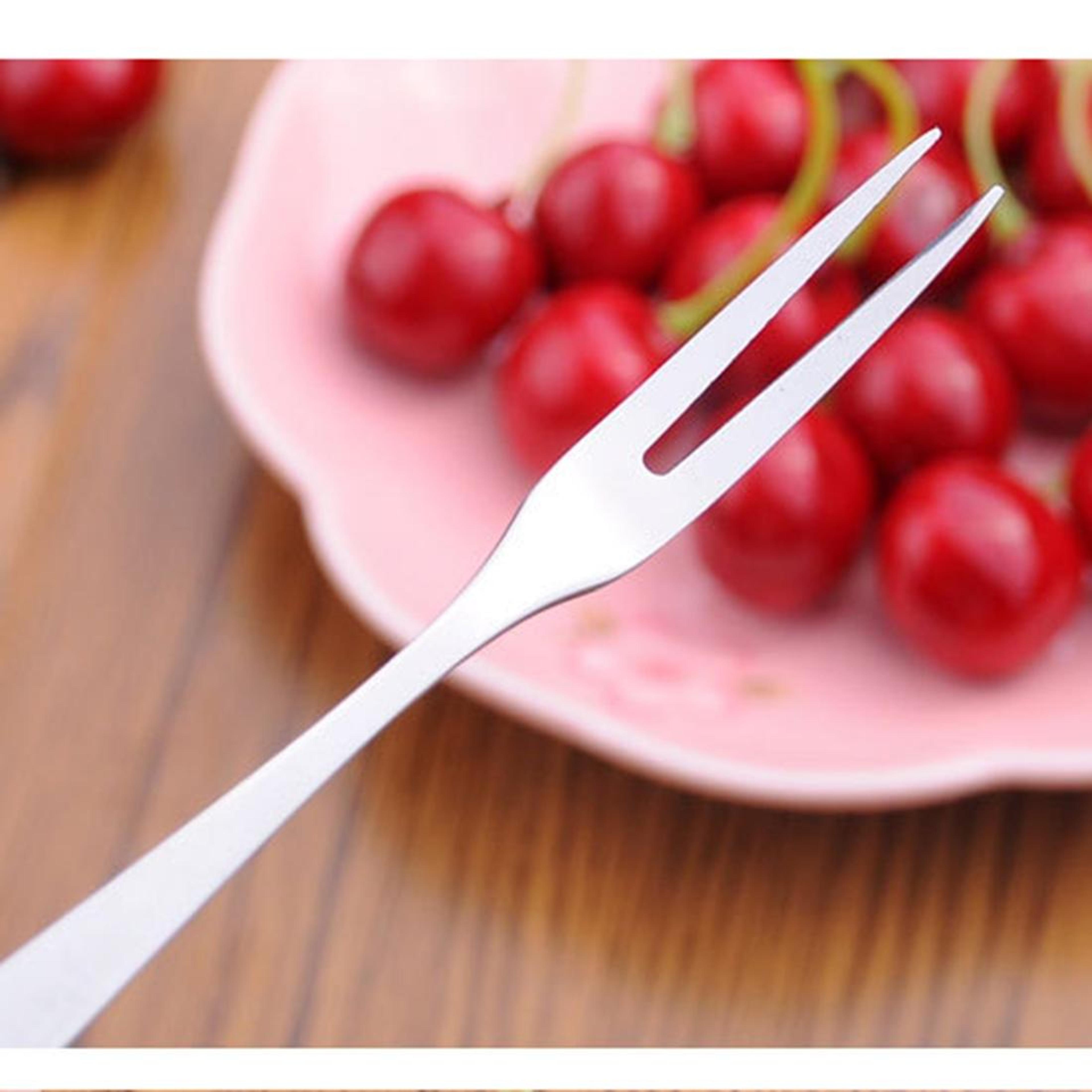 Stainless Steel Fruit Fork Set Reusable Mini Dessert Picks For Snacks  Appetizers 5