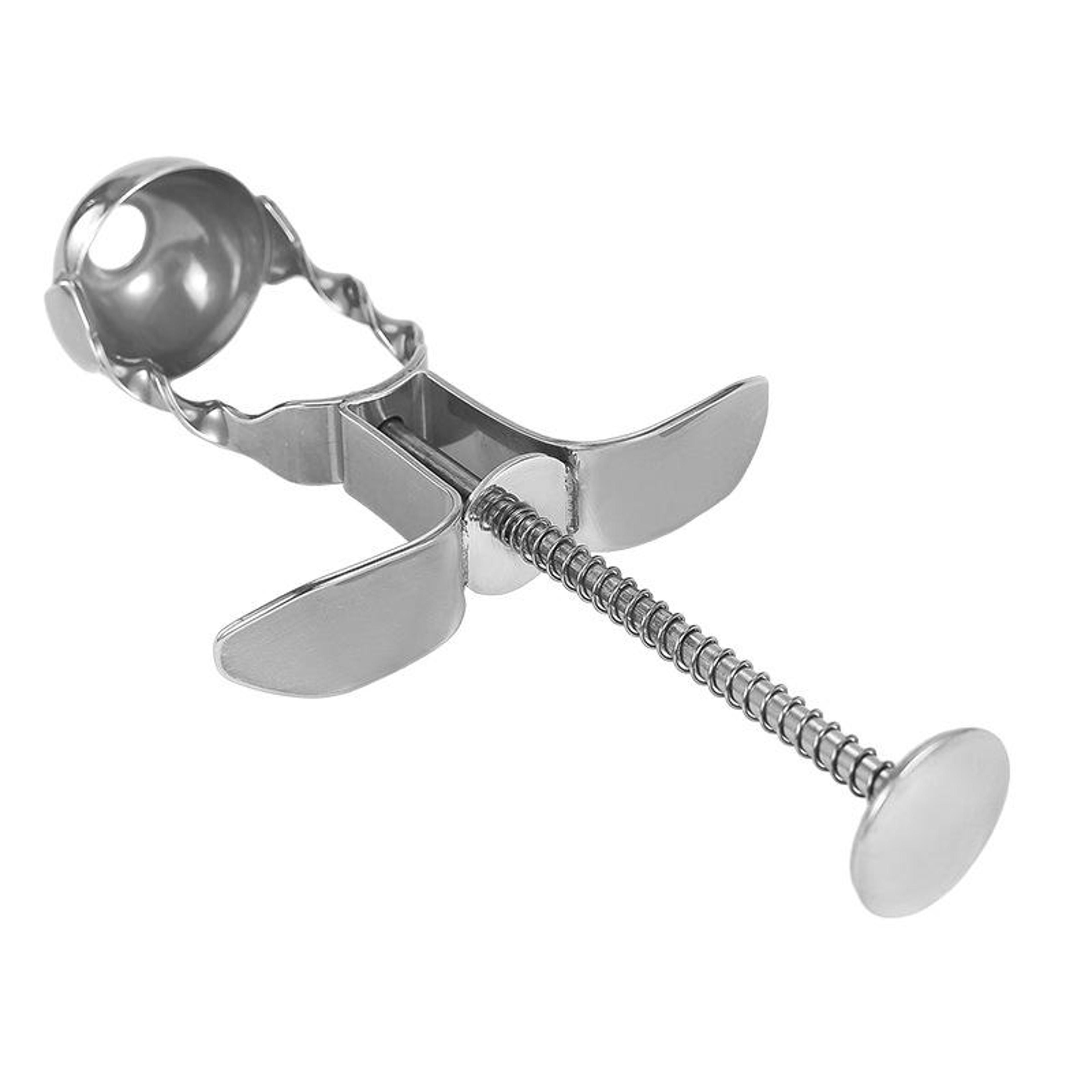 Stainless Steel Cherry Pitter  Red Date Corer For Jujube Olive And Small Fruits 0