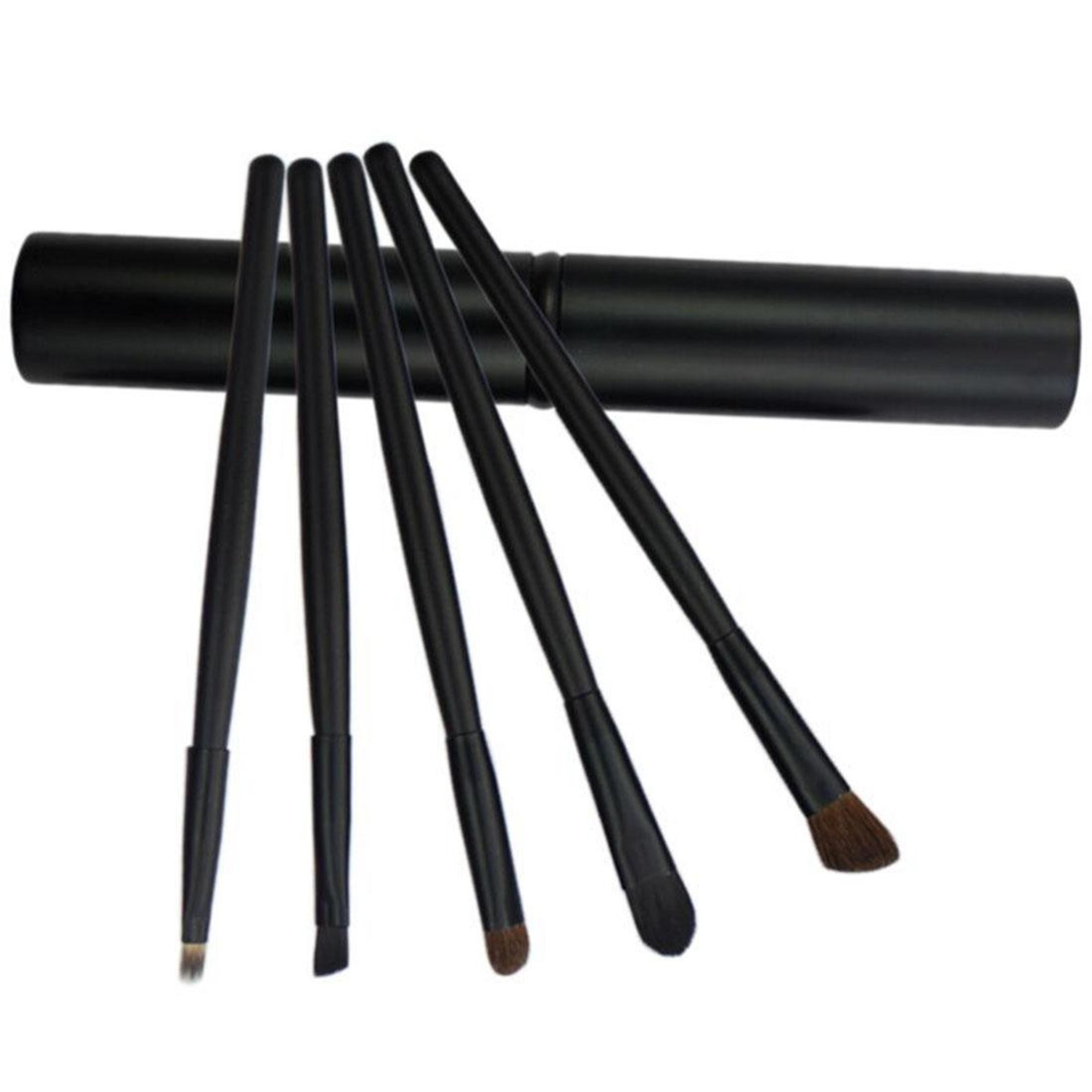 Eye Makeup Brush Set With Travel Case Portable Professional Eye Brushes Kit 6