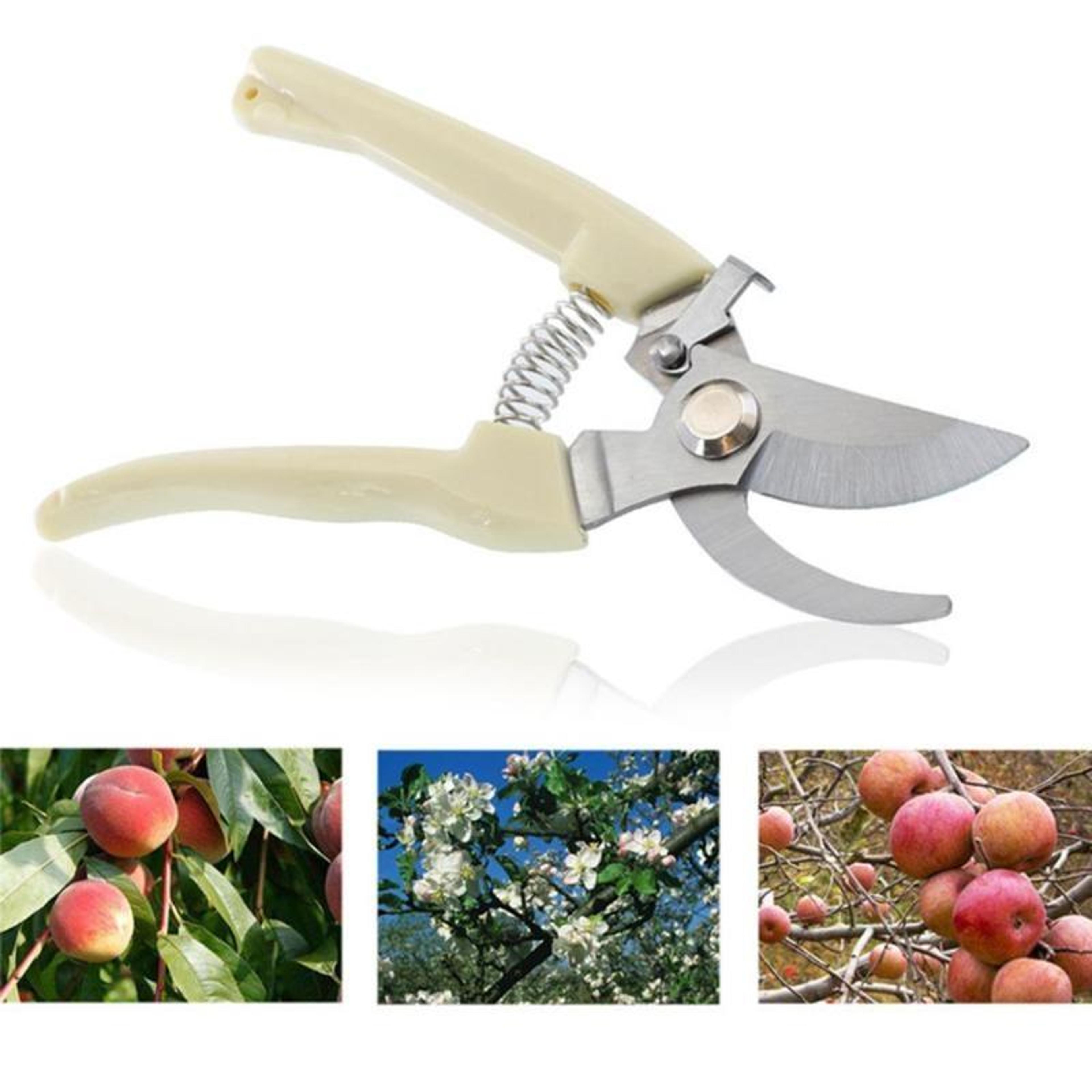 Stainless Steel Pruning Shears For Fruit Trees And Garden Branch Trimming 6