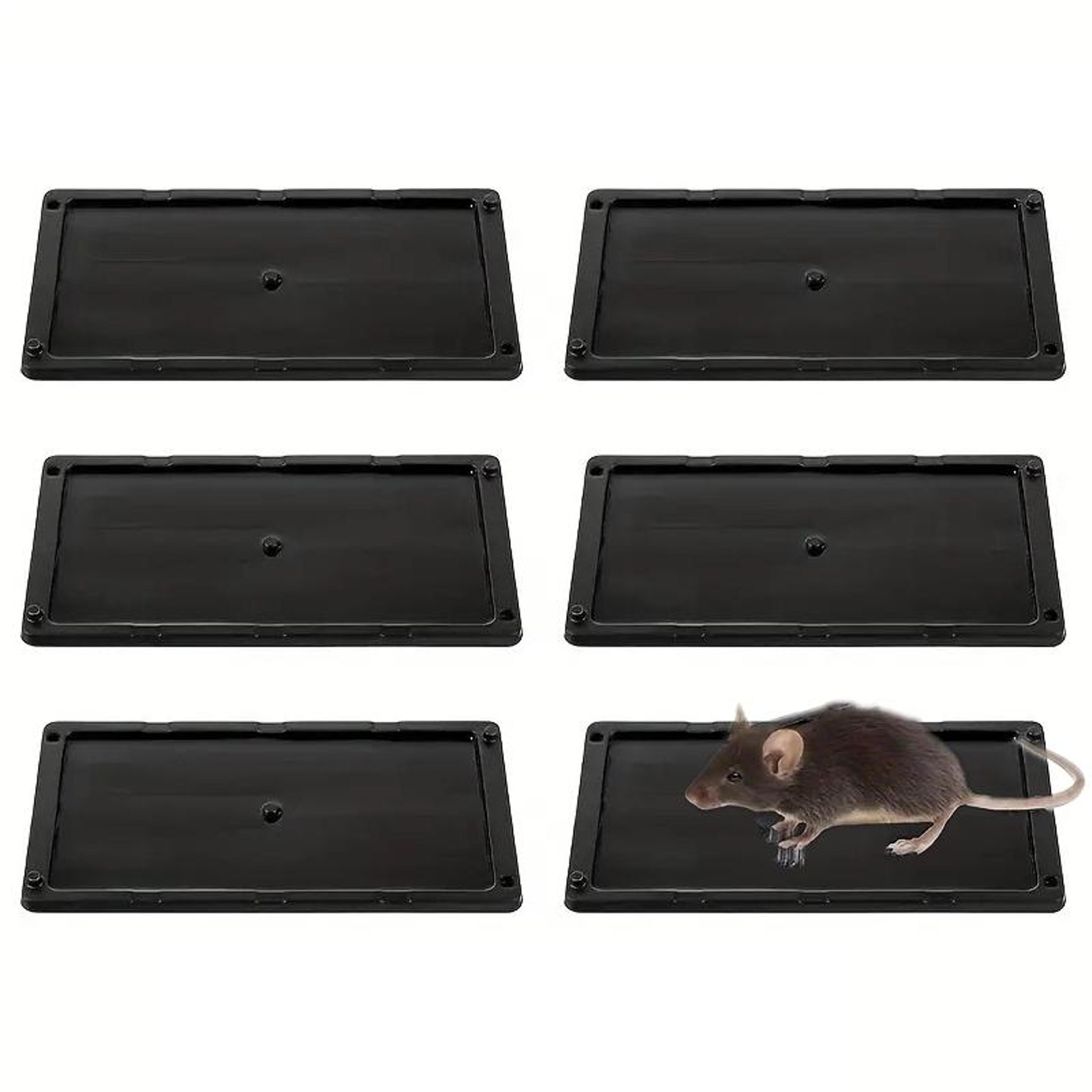 sticky mouse traps non-toxic rodent glue boards indoor pest control pads