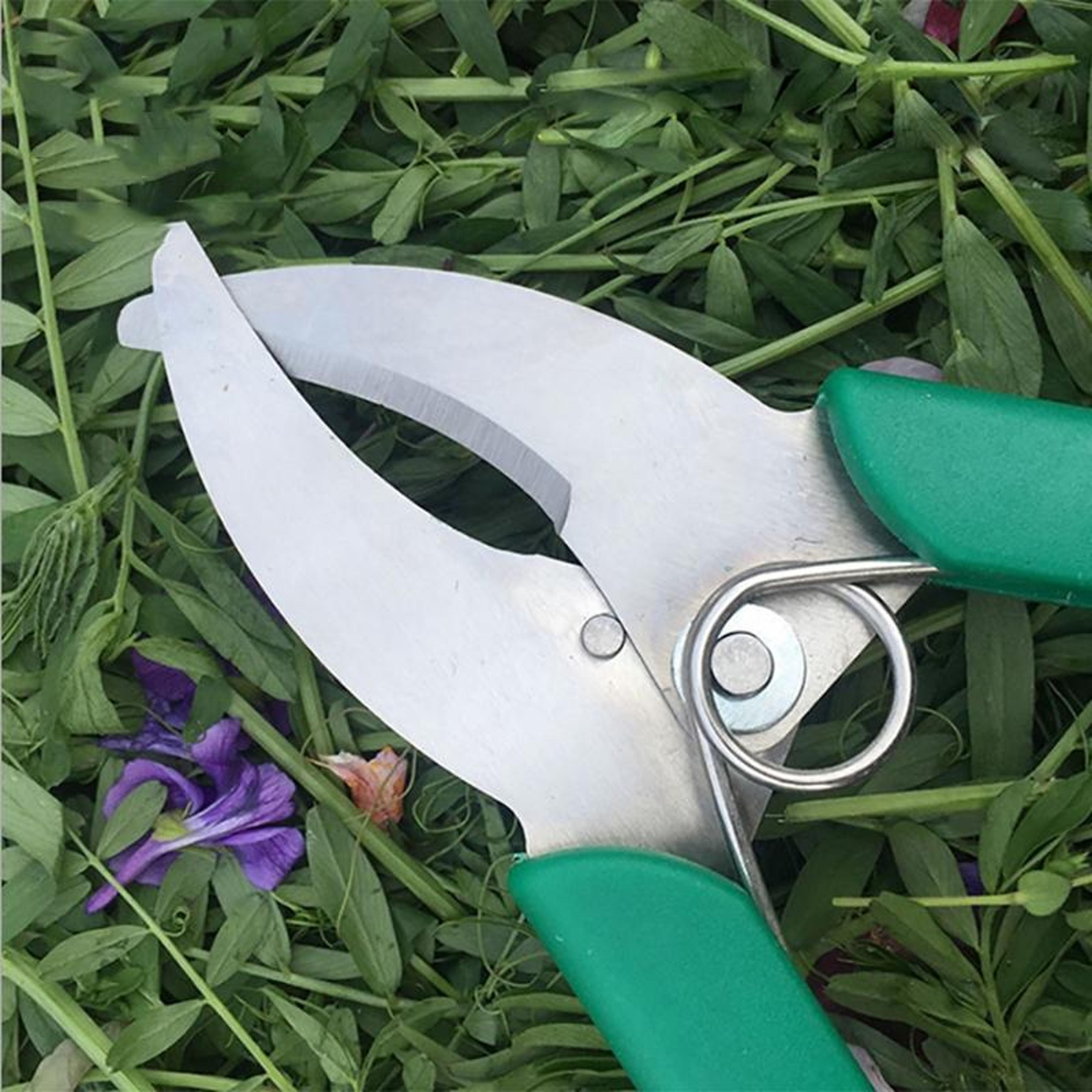 Precision Fruit Tree Grafting  Bark Stripping Shears For Garden Pruning 2