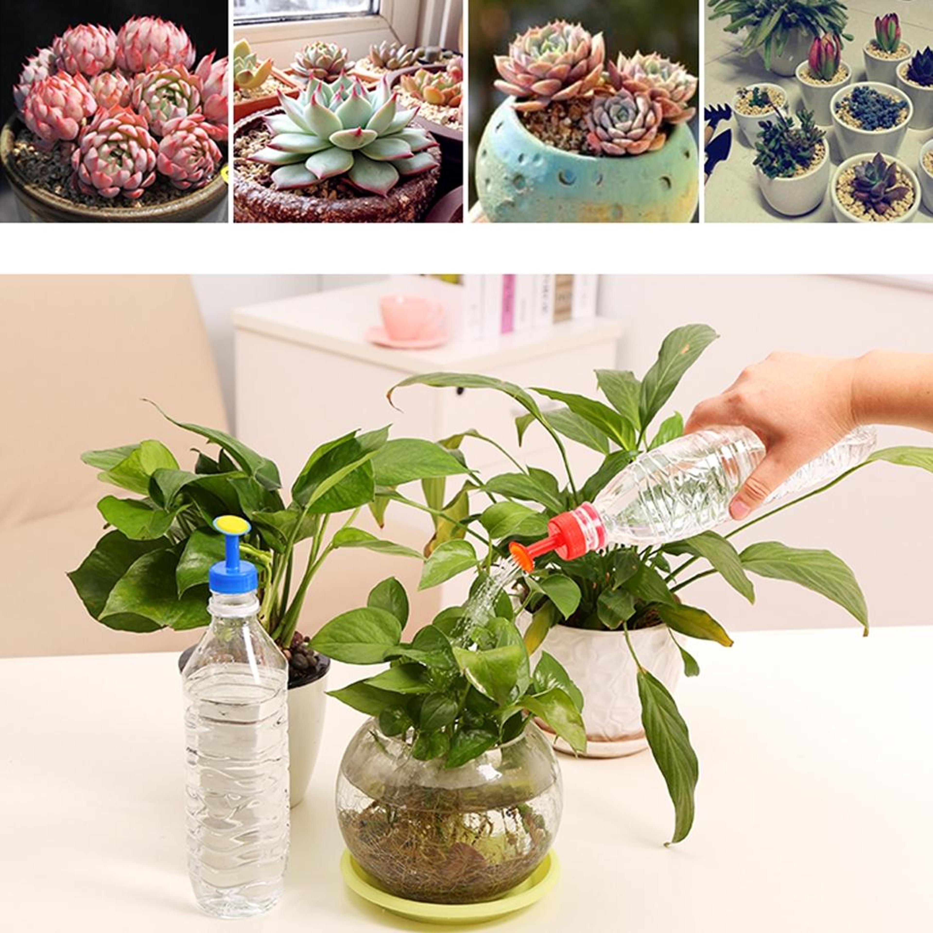 2PCS Portable Plant Watering Bottle Caps For Indoor Plants  Garden Seedlings Random Color 7
