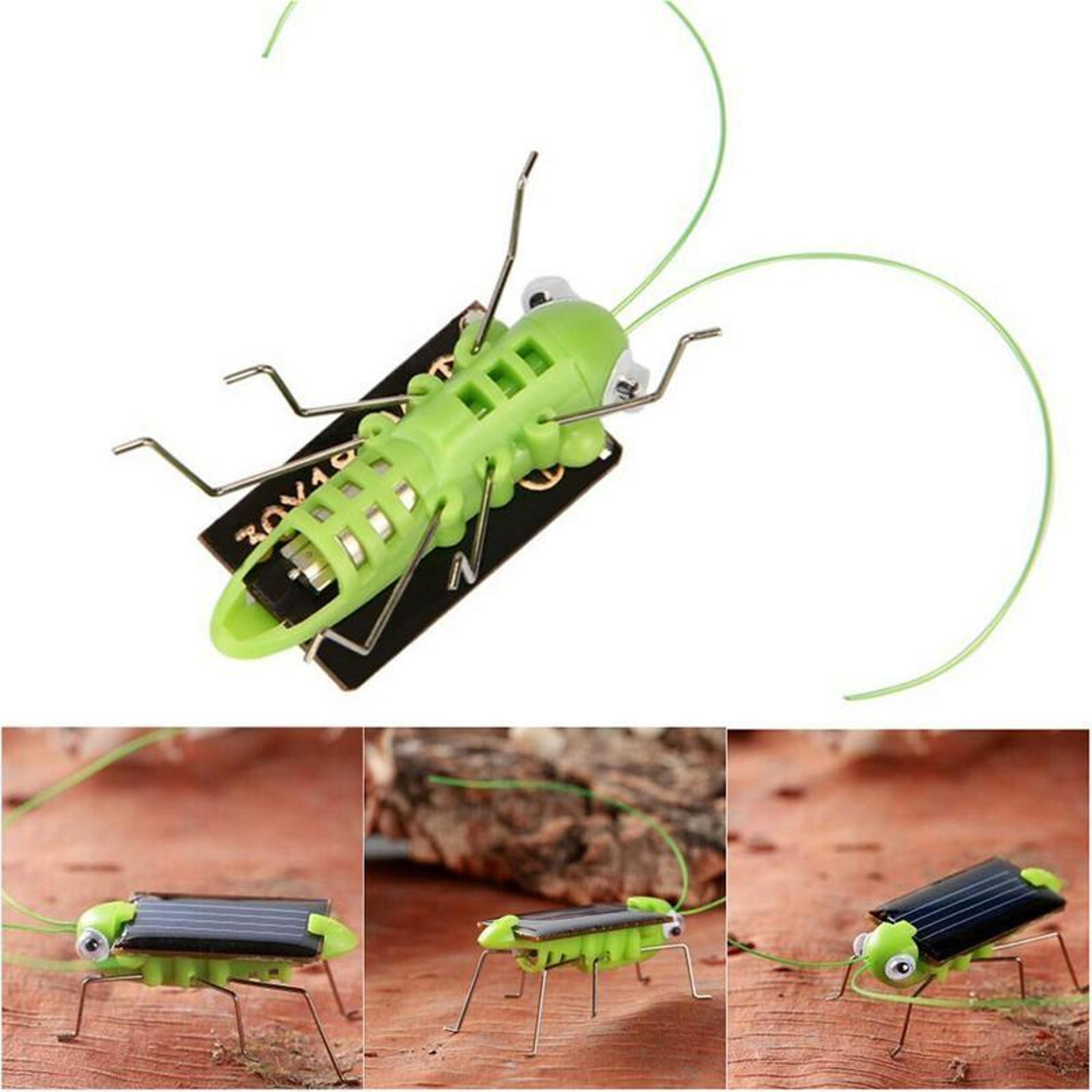 Solar Powered Grasshopper Bug Toy For Kids Eco Friendly Vibrating Insect Toy 4