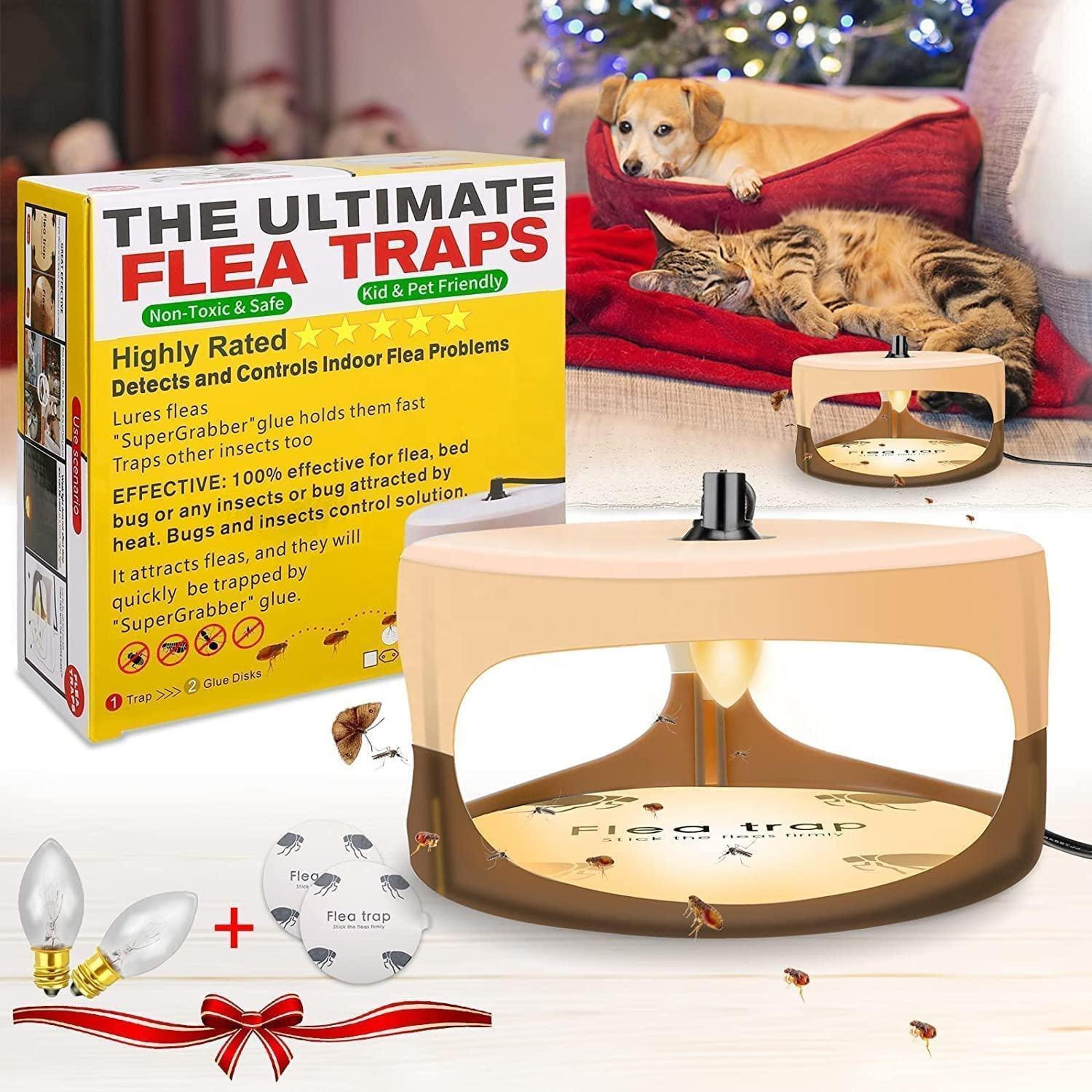 2PCS Flea Trap Indoor Pet Safe Sticky Light Trap For Cats Dogs  Home Pest Control 5