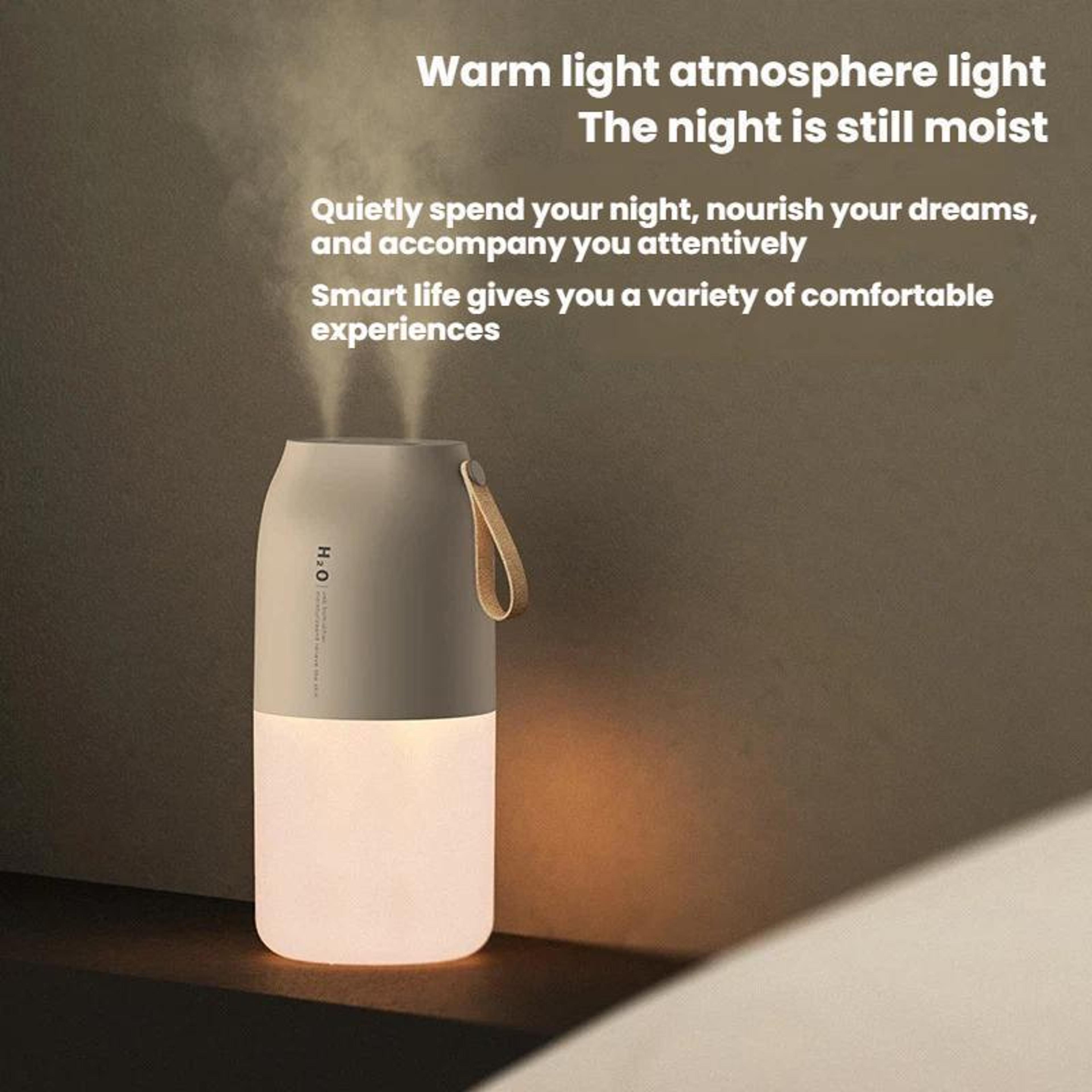 Premium Portable Dual Spray USB Humidifier With Night Light  Rechargeable Battery 6