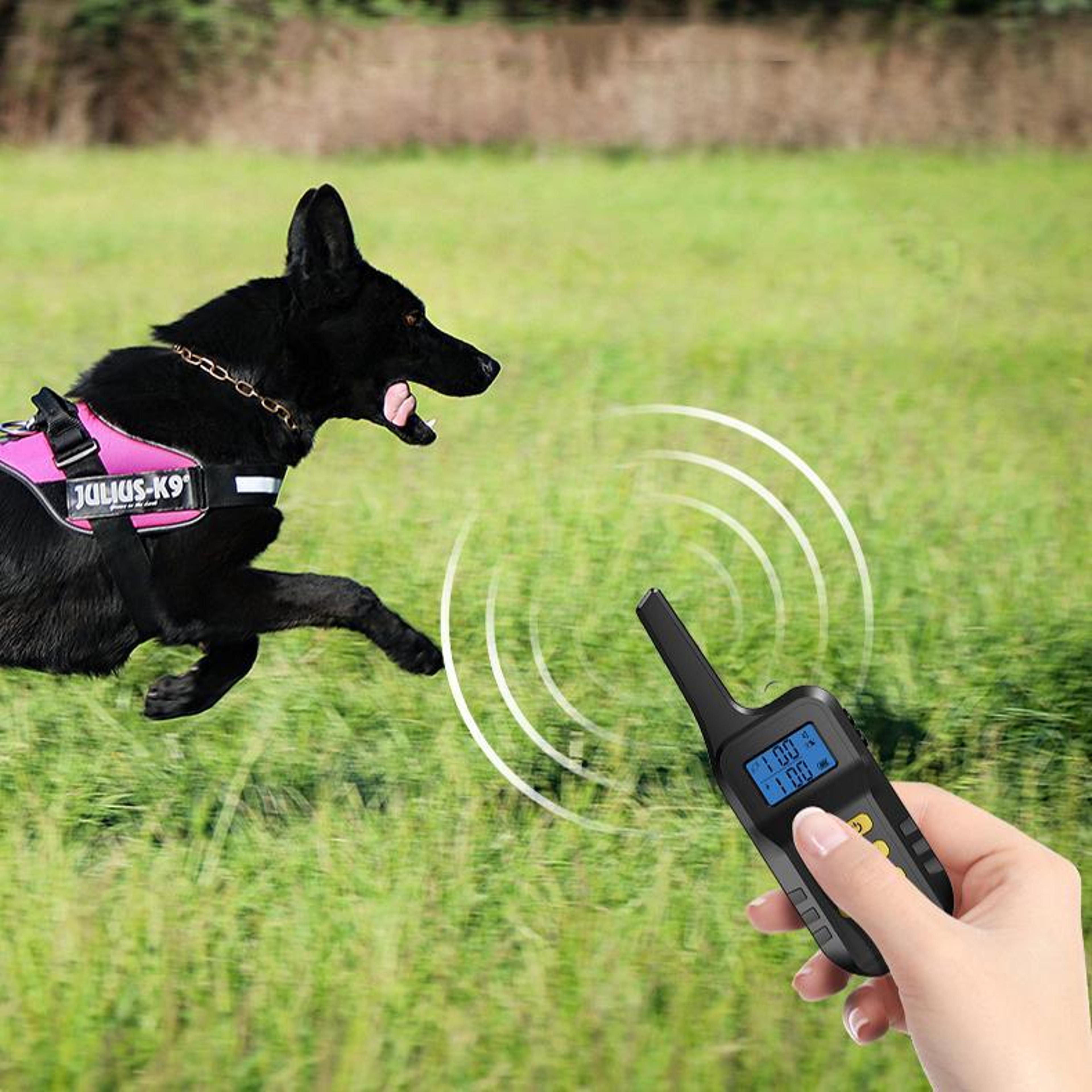 Smart 1000M Dog Training Collar With Remote Vibration  Adjustable Training Modes 0