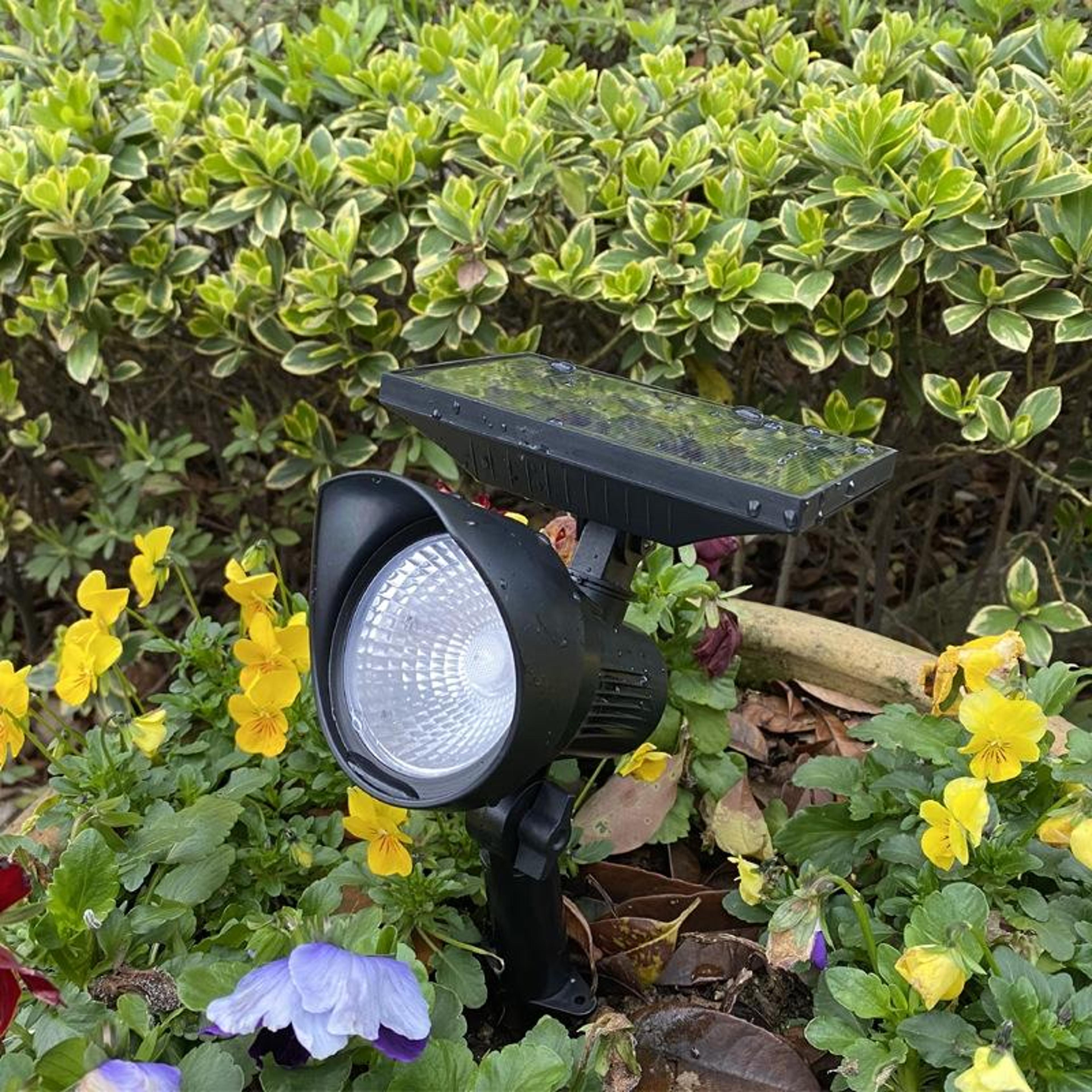 Waterproof Solar Garden Light For Pathways Lawns  Outdoor Landscapes 0