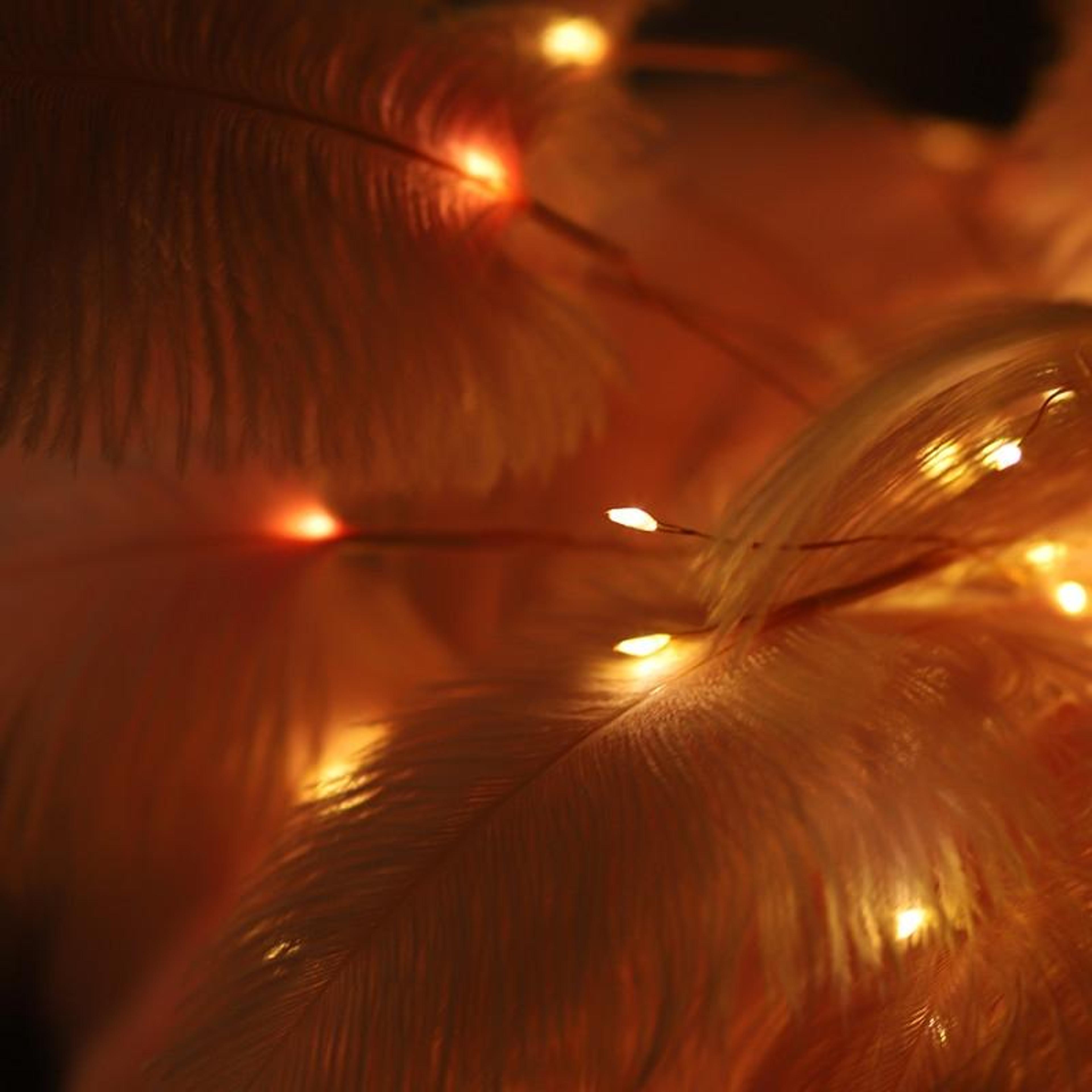 Ostrich Feather Table Lamp LED Feather Night Light Wireless Decorative Bedroom Lamp With Remote Con 2