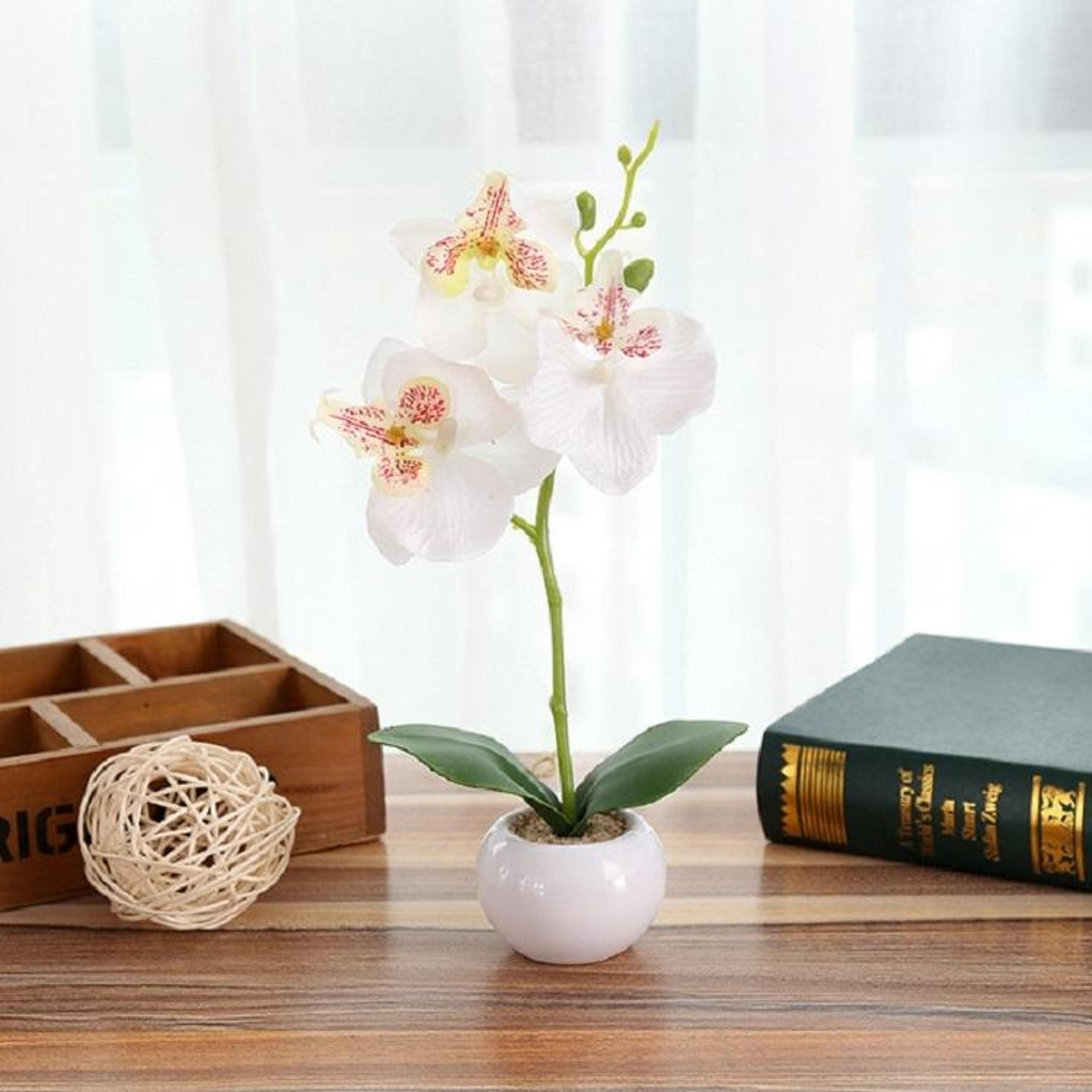 Artificial Orchid Plant In Ceramic Flower Pot Decorative Faux Potted Floral Arrangement 5