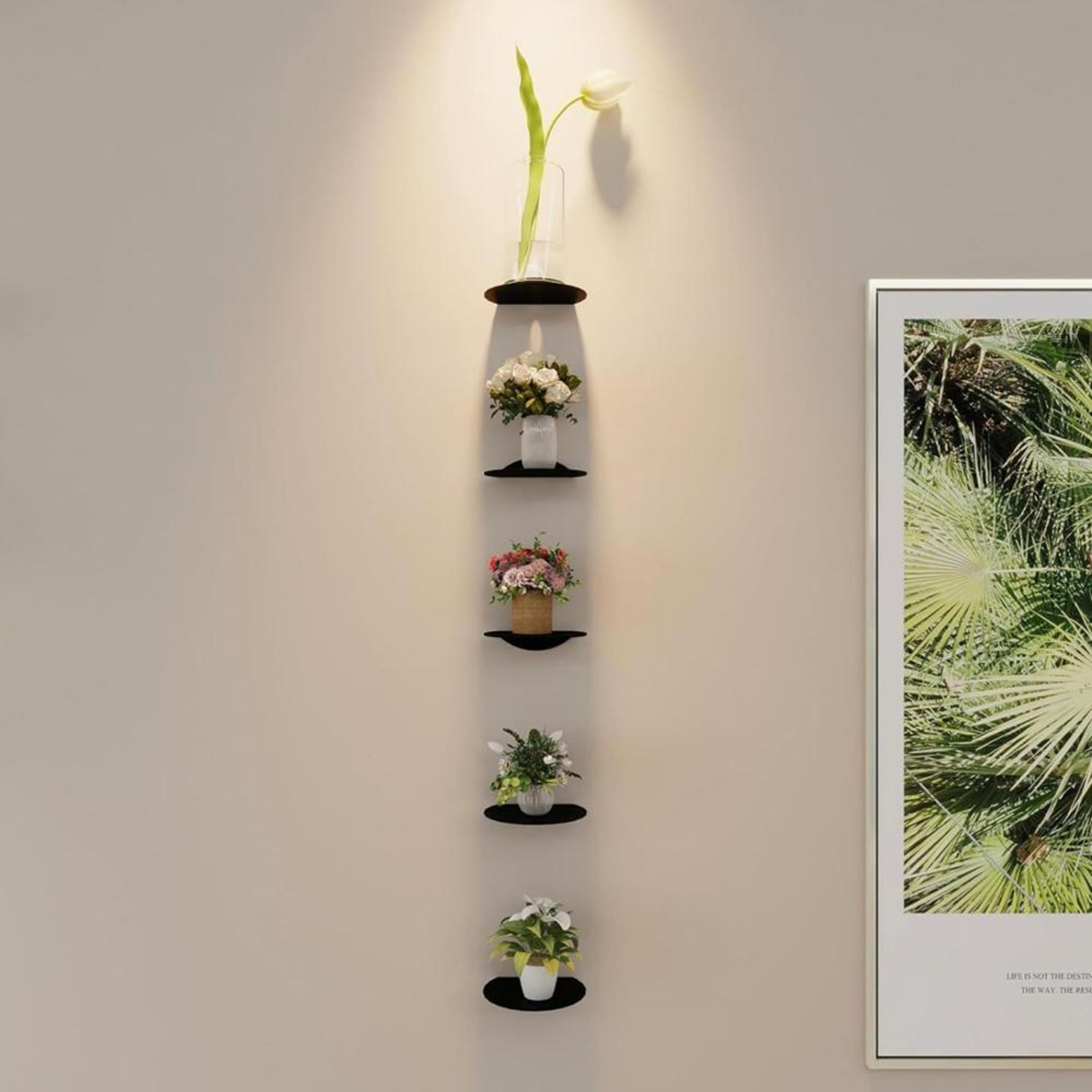 Wall Mounted Acrylic Plant Shelf And Small Display Stand 5