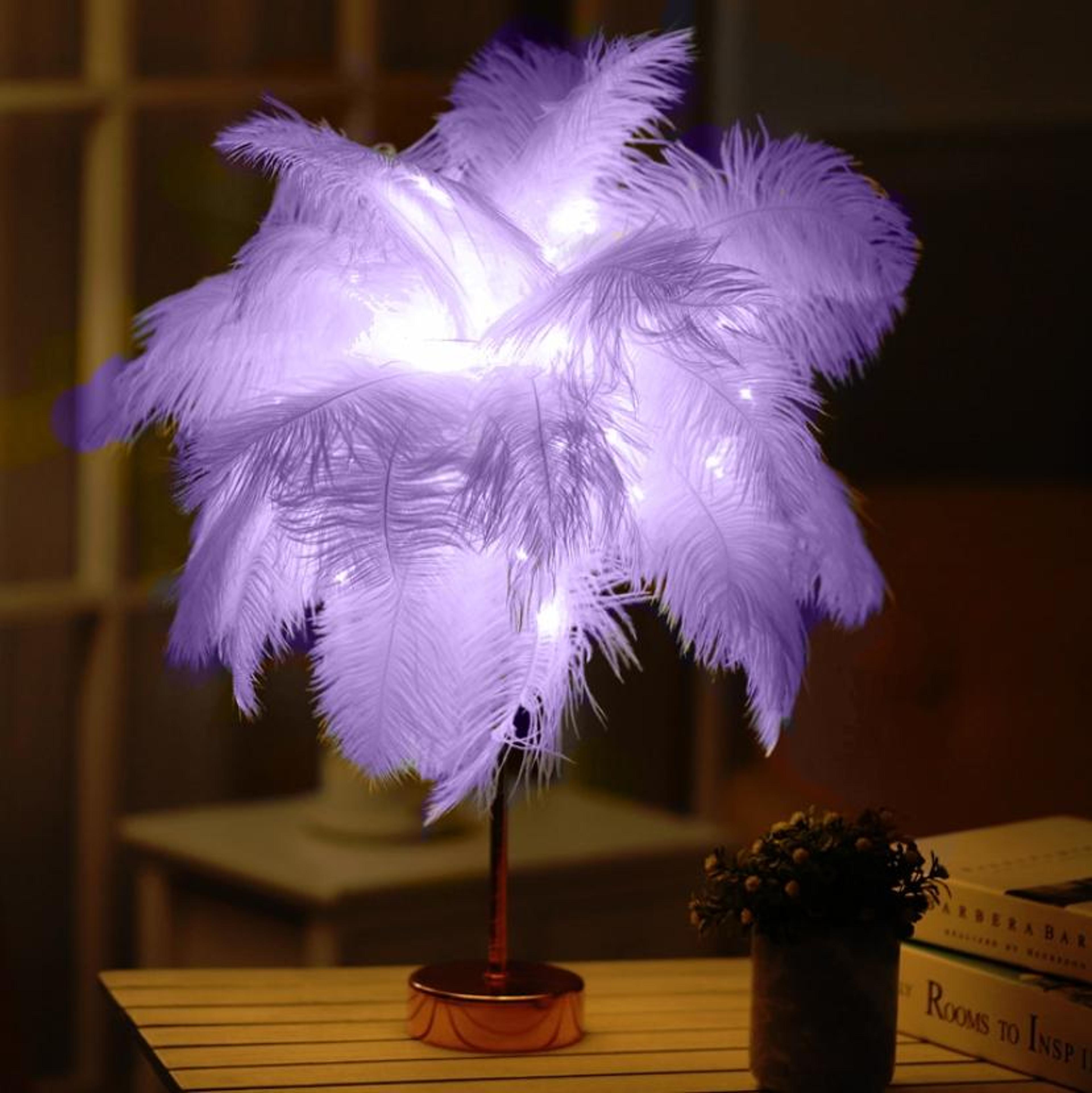 Ostrich Feather Table Lamp With Dimmable LED Night Light And Remote Control 7