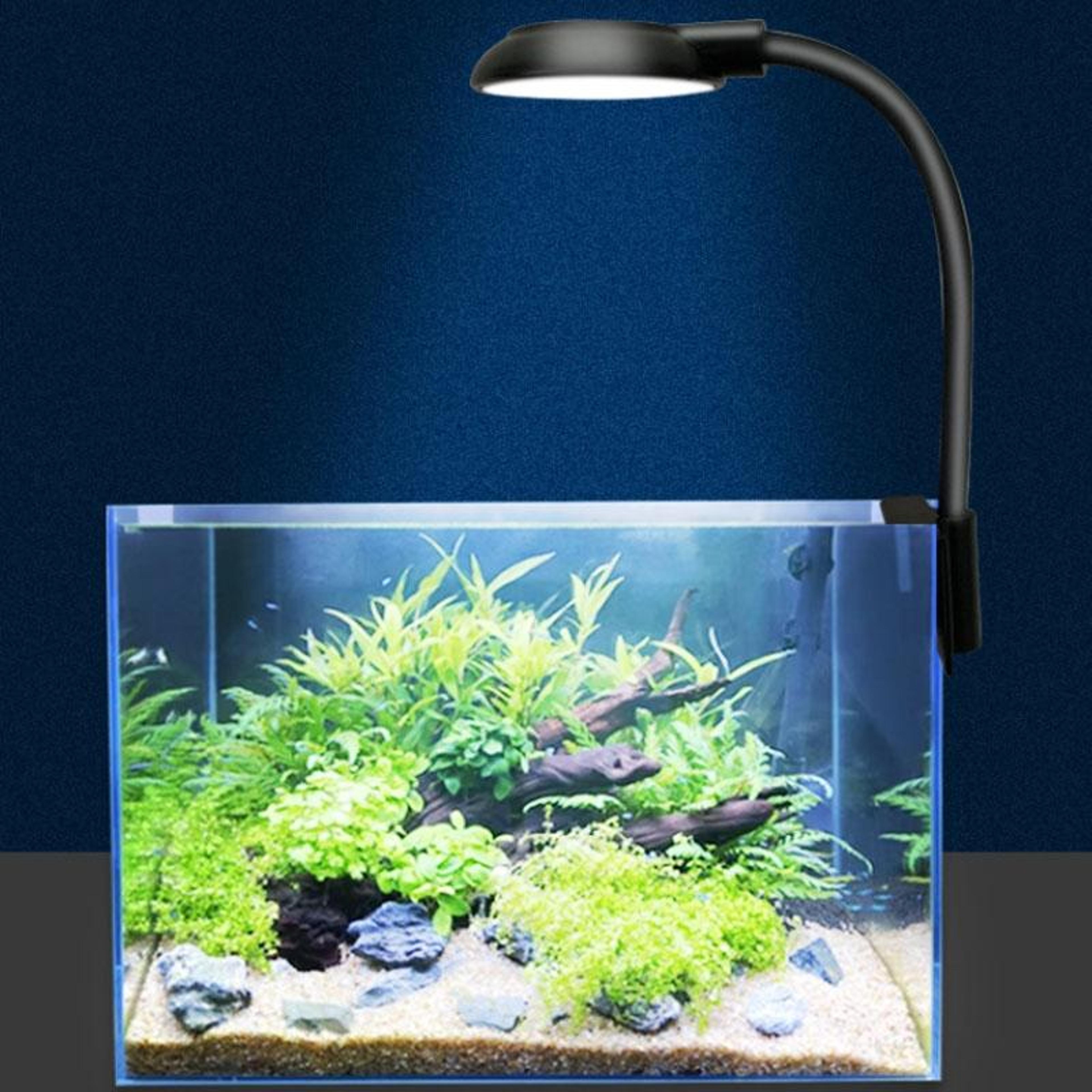 5W Aquarium LED Clip Light USB Blue White Lamp For Small Fish Tanks And Aquatic Plants 1