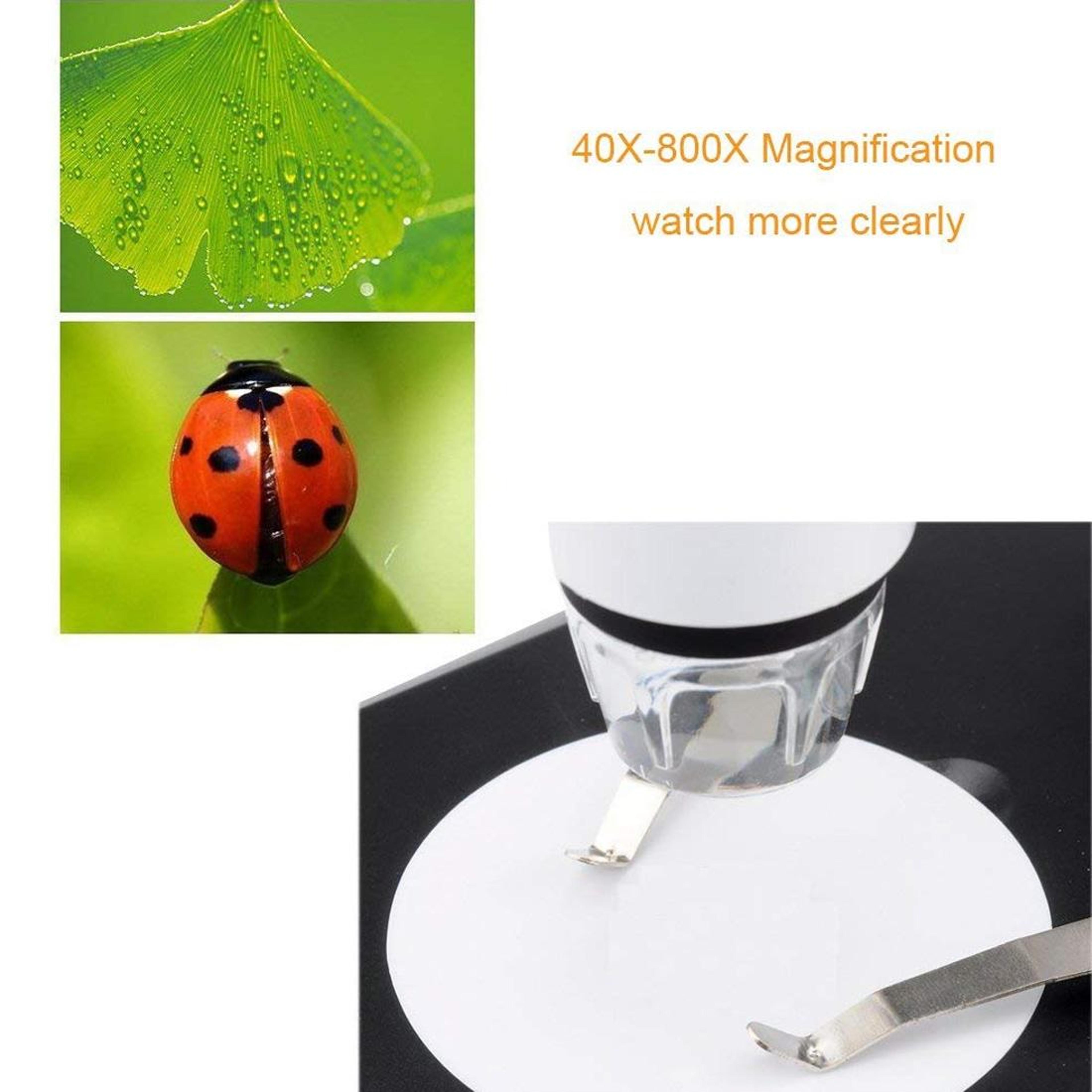 Digital Microscope With Adjustable LED Lighting And Professional Stand 7