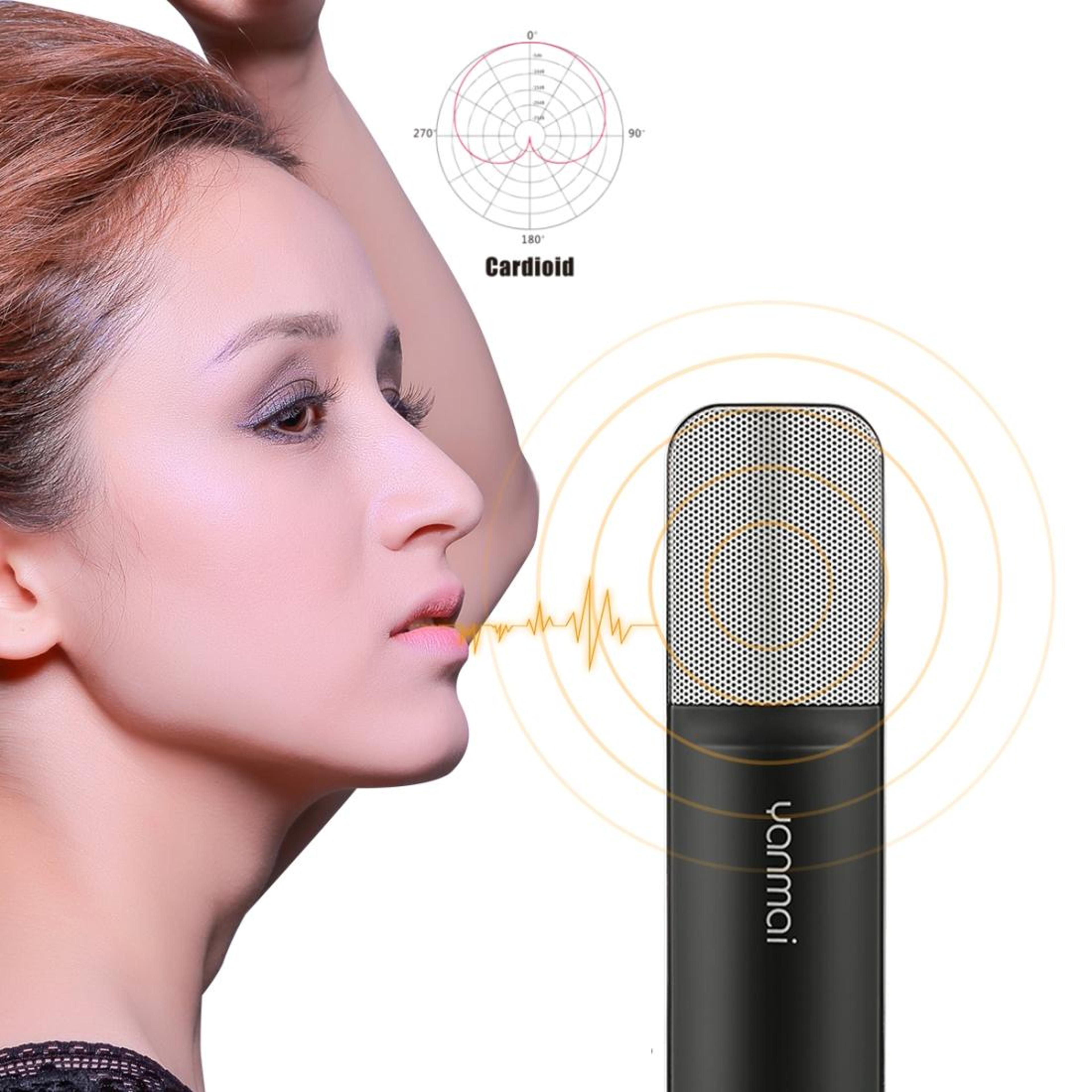 Q8 Condenser Microphone With Adjustable Stand For Gaming Streaming And Recording 7