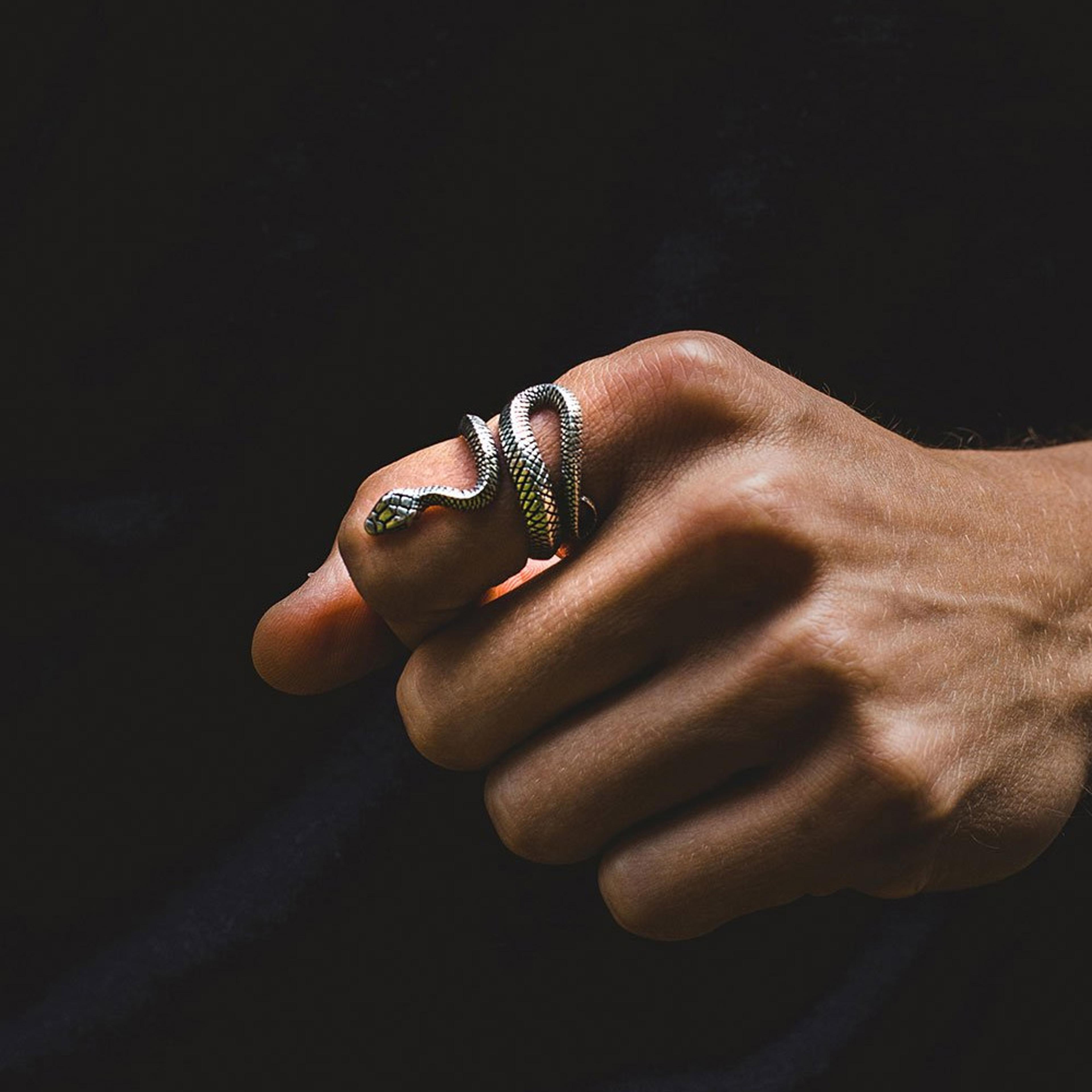 Metallic Adjustable Snake Ring 1