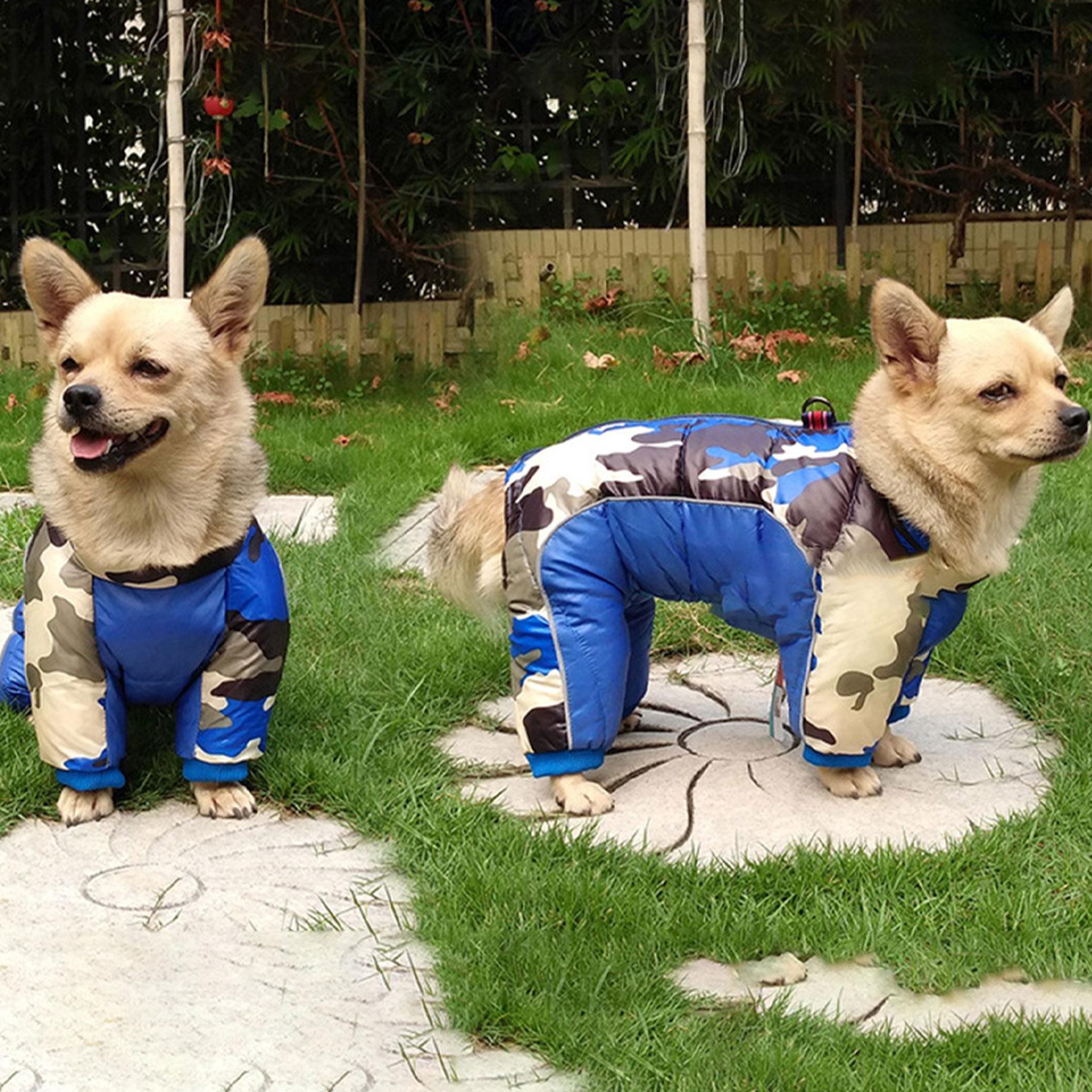 dogwinterjumpsuit2