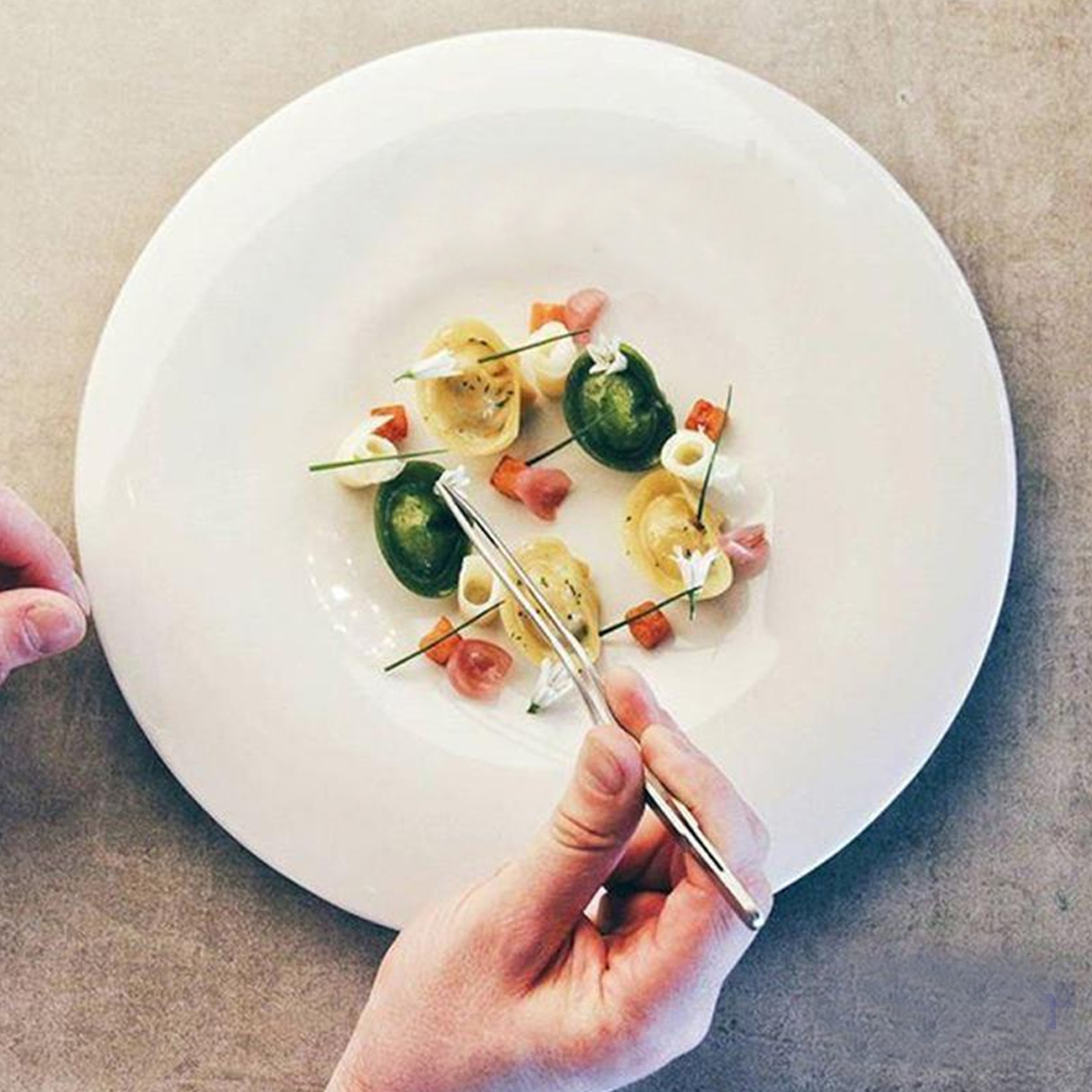 Culinary Plating Tweezer Tongs2