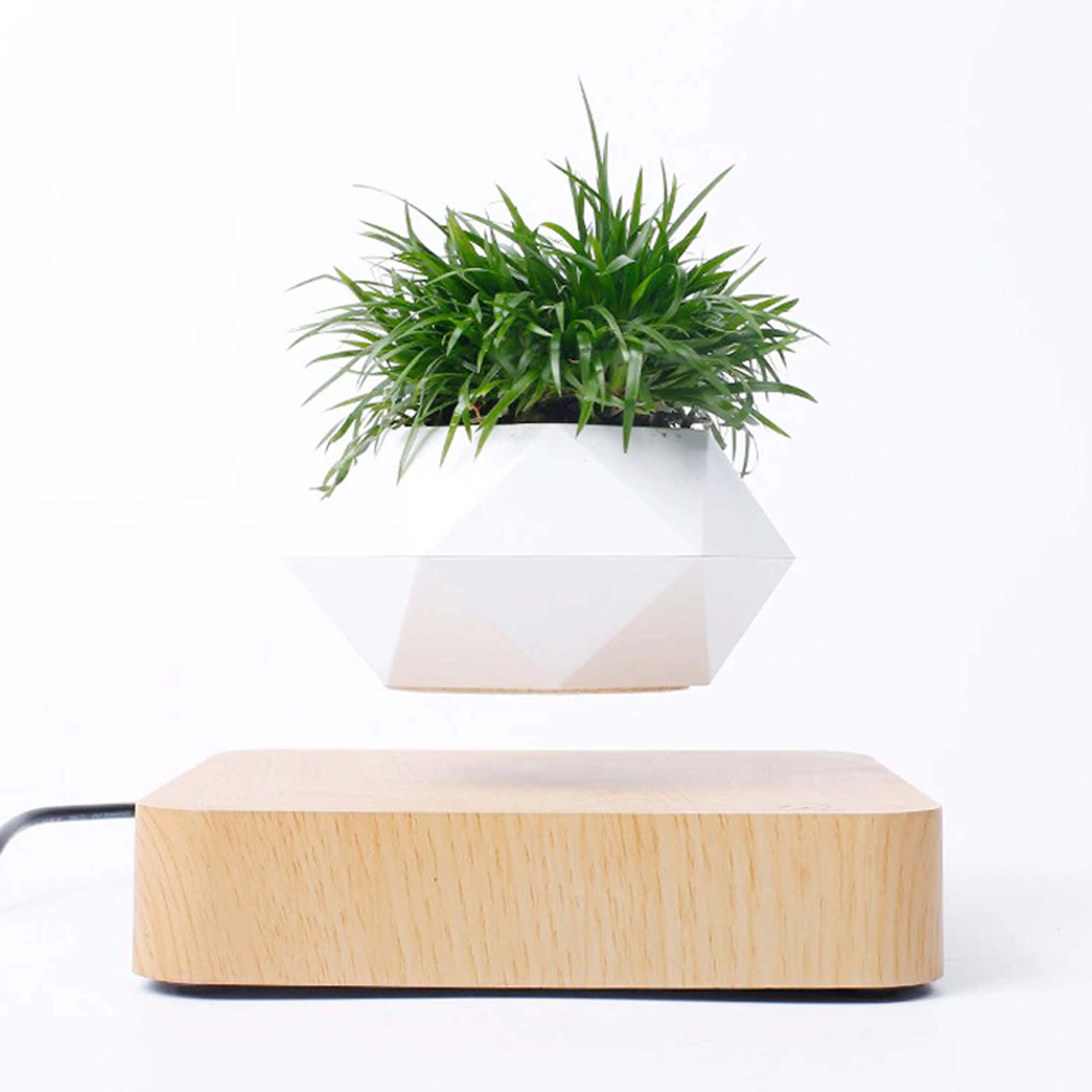 Magnetic Levitating Plant Pot For Bonsai, Real & Fake Plants Lightwood base