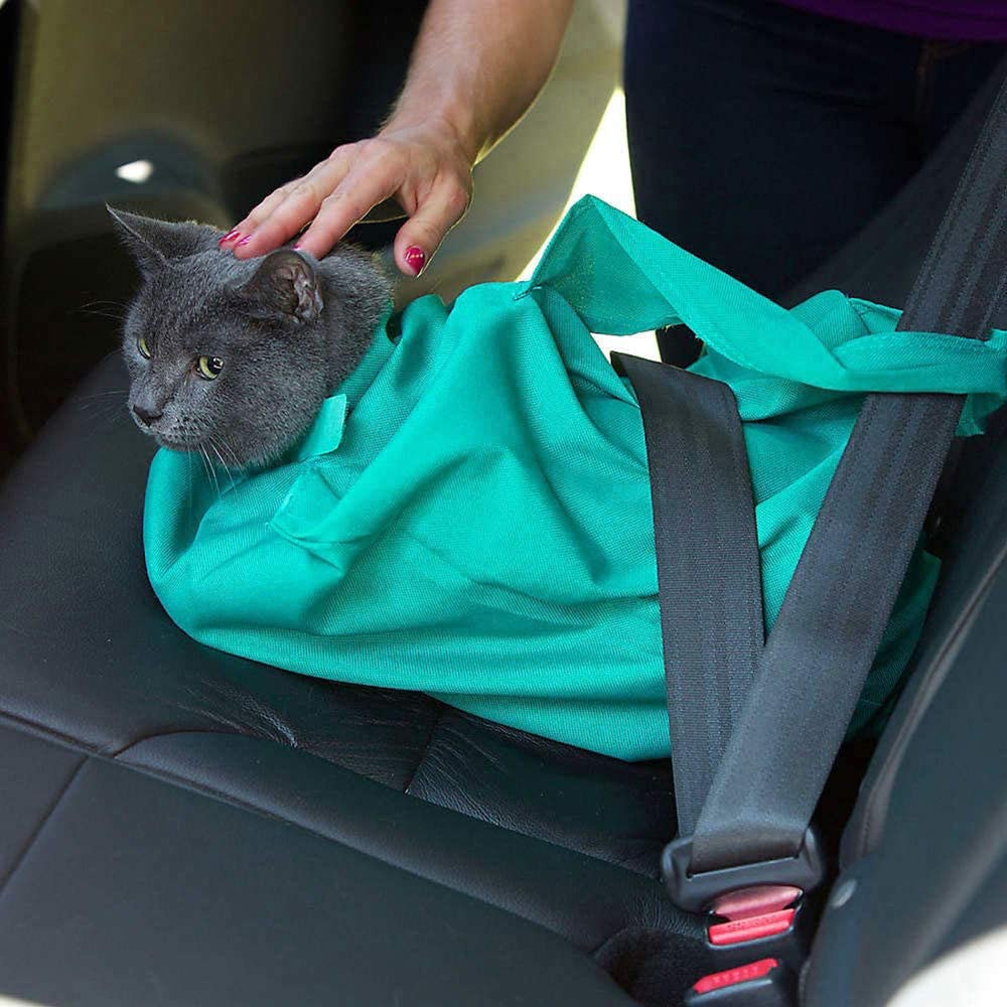 cat carrier pouch