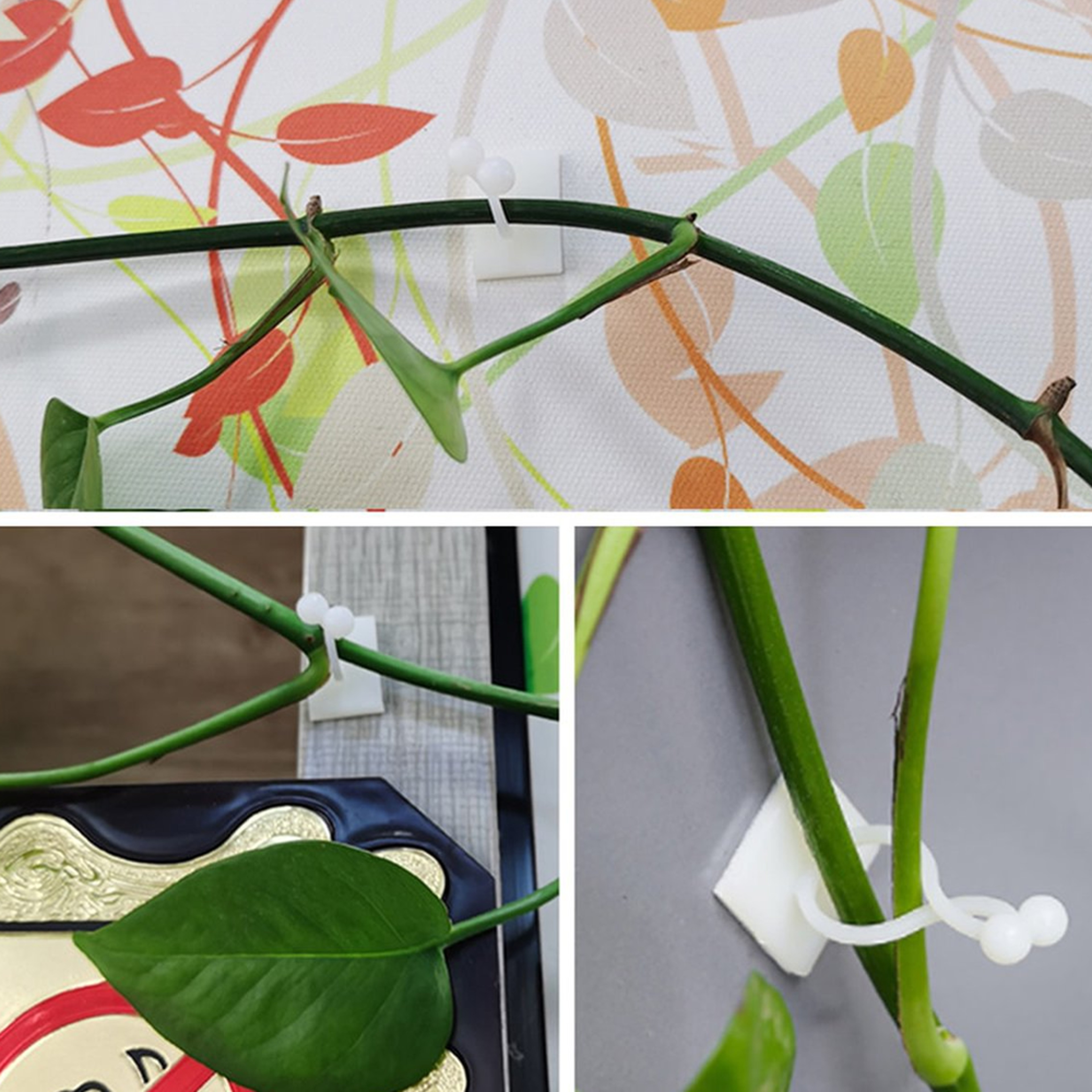 plantclimbingwallfixture5
