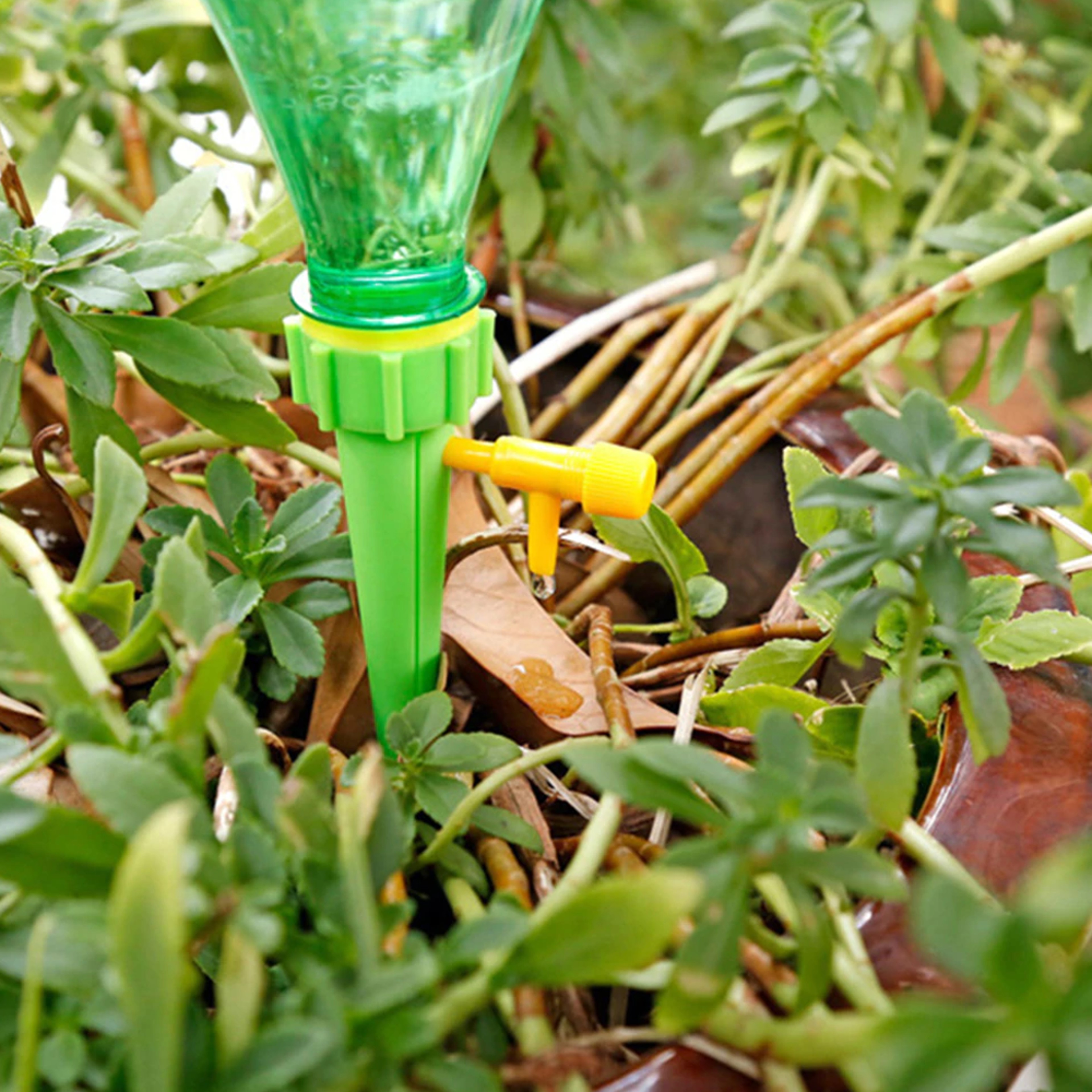 Self Watering Spikes For Plastic Bottles 2