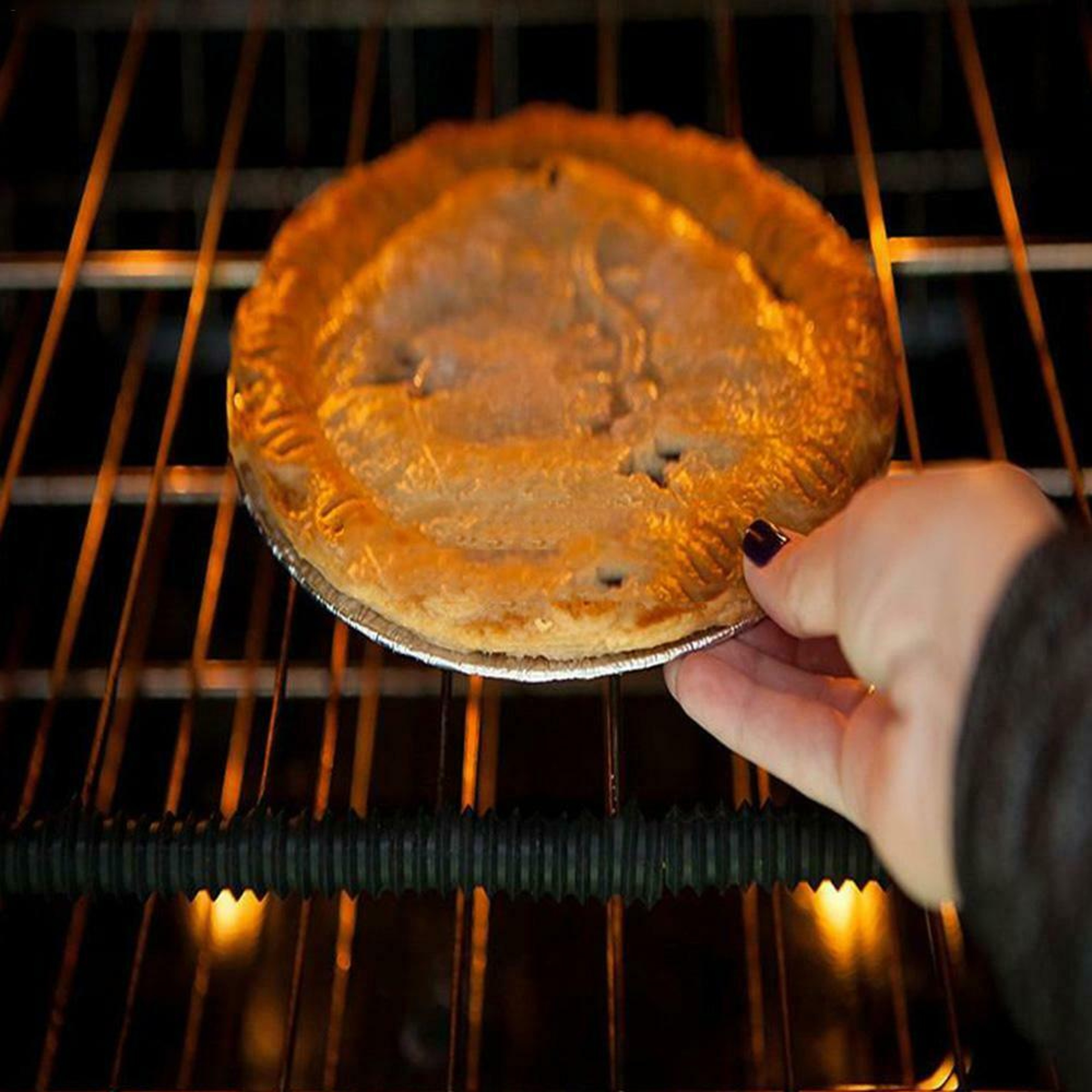 ovenrackguards4
