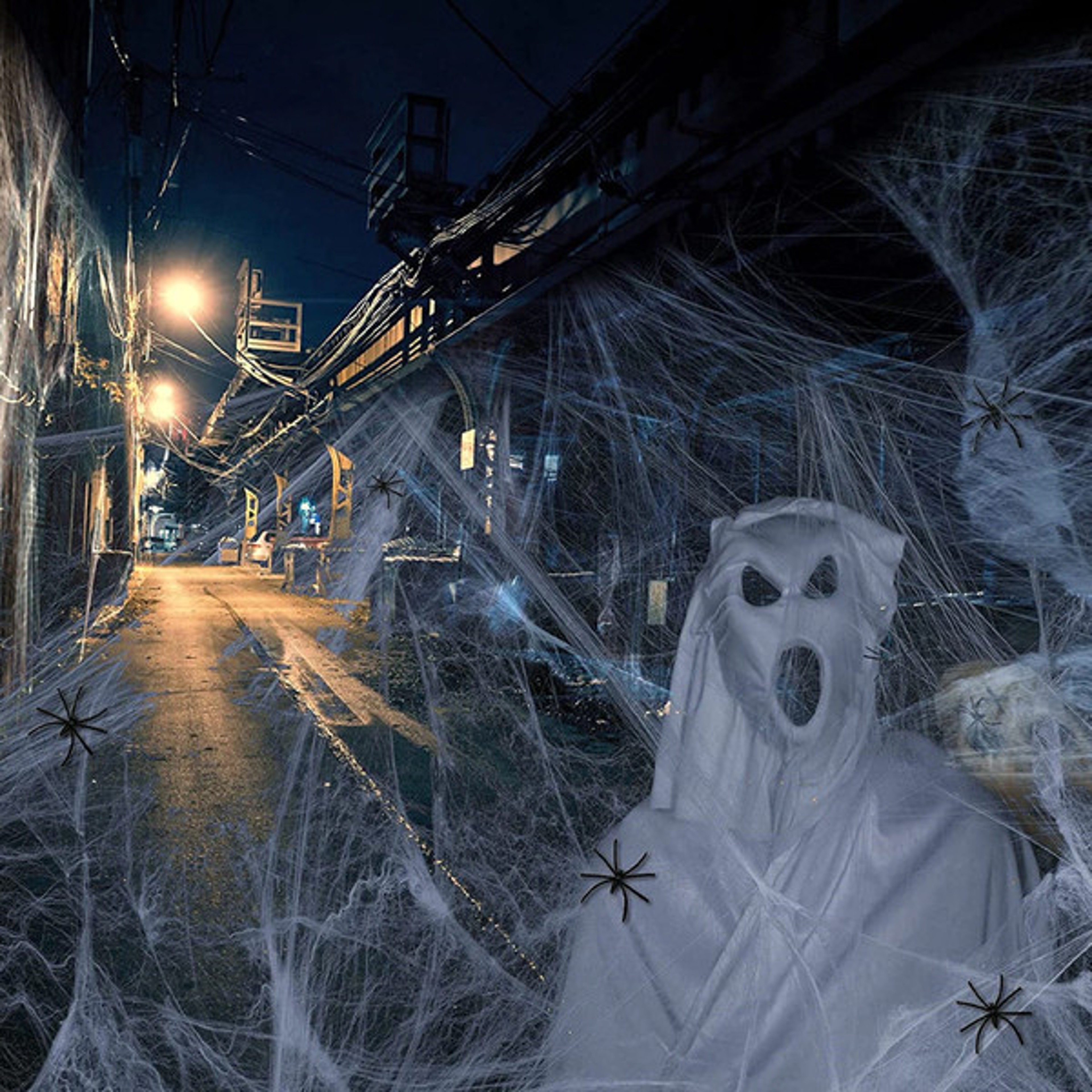 Spooky Halloween Spider Web Décor 3