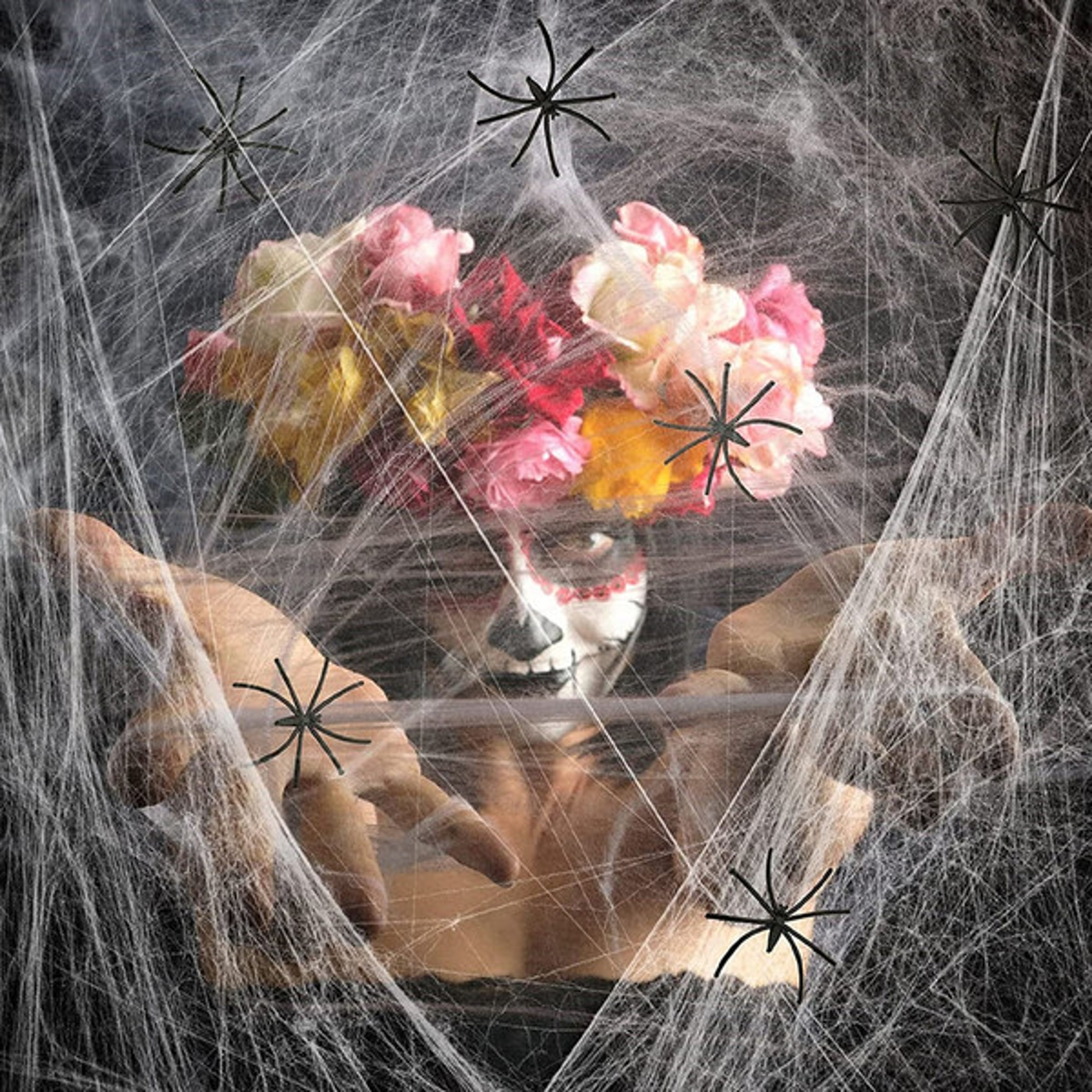 Spooky Halloween Spider Web Décor 1