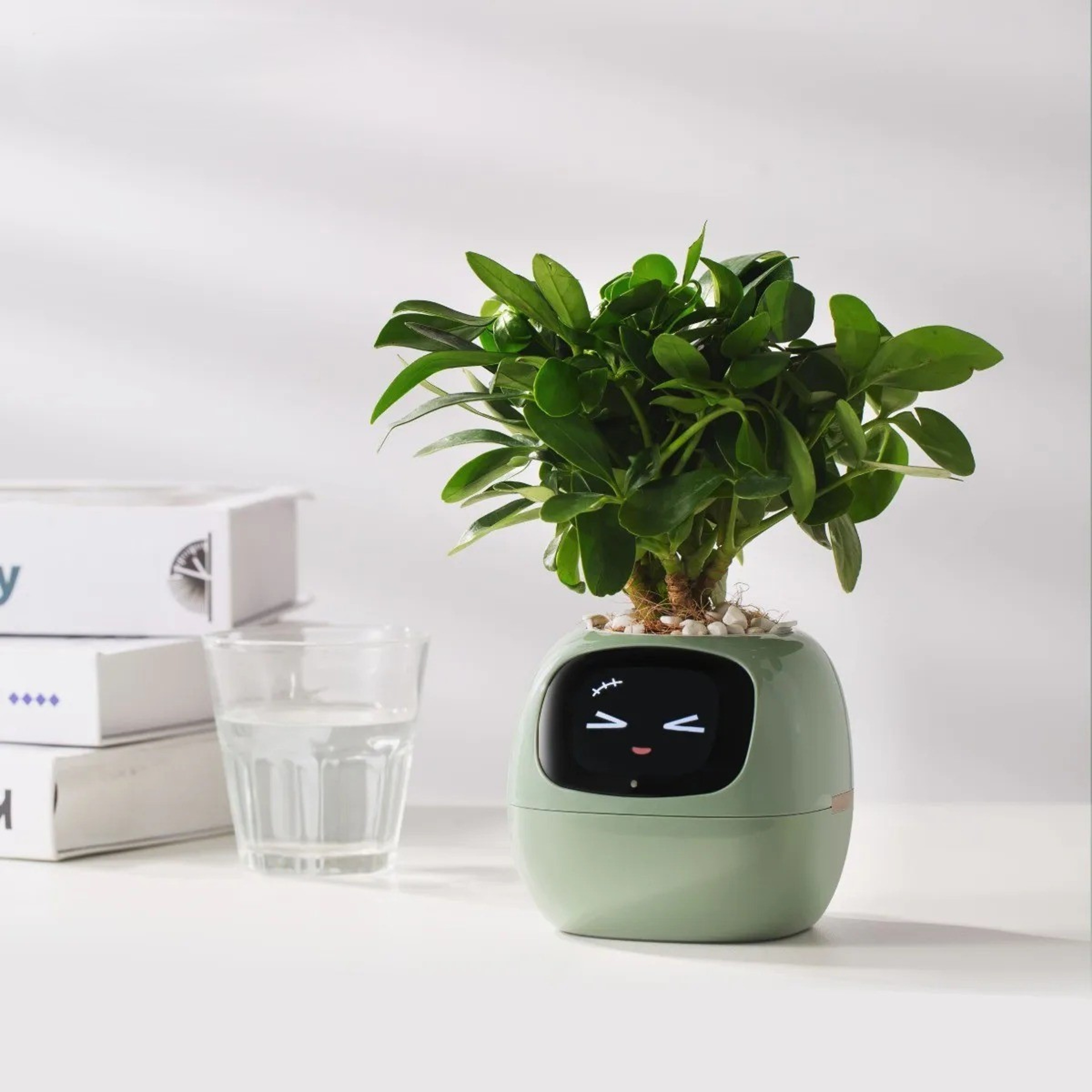 Shop Digital Pet Planter