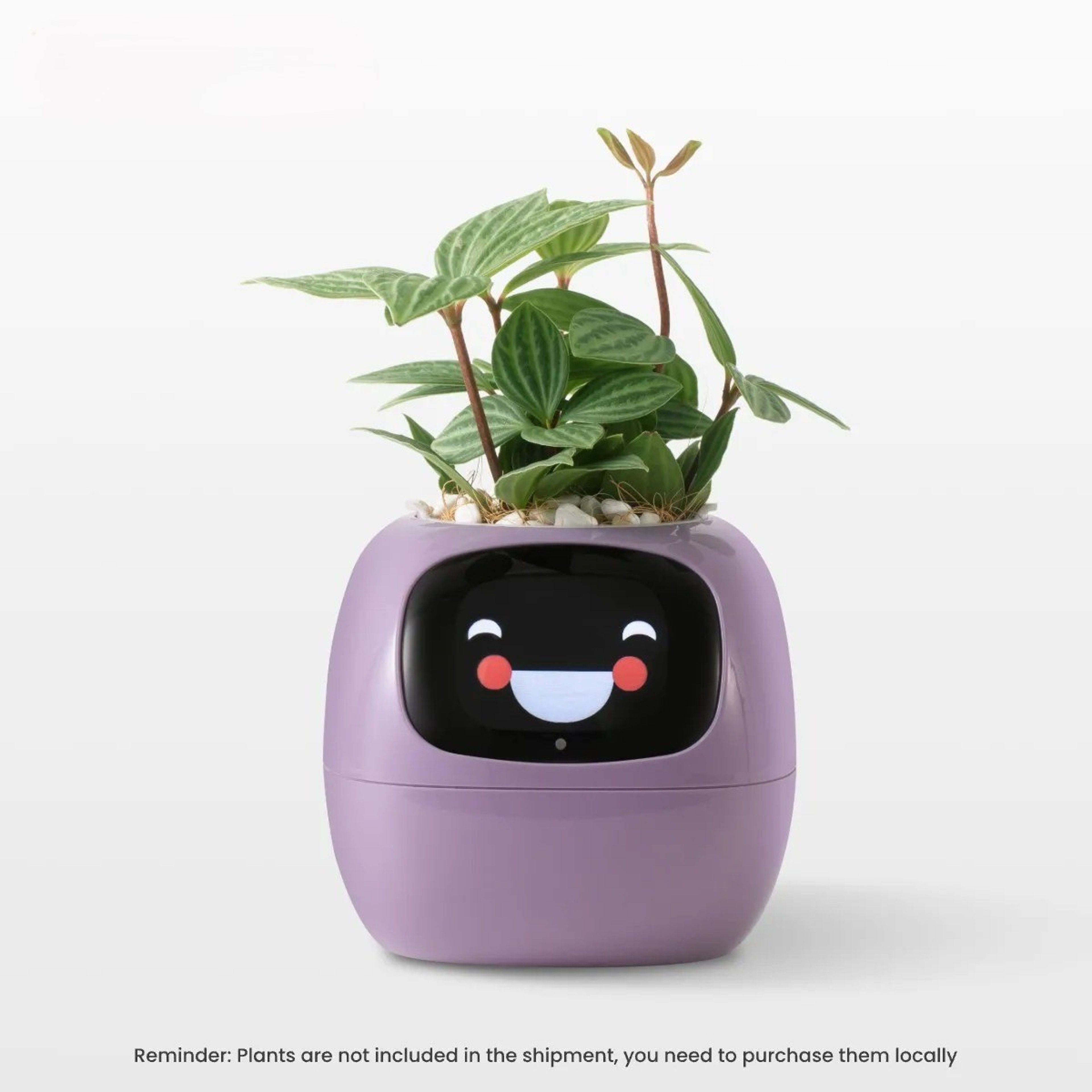 Best Smart Planter with Sensors