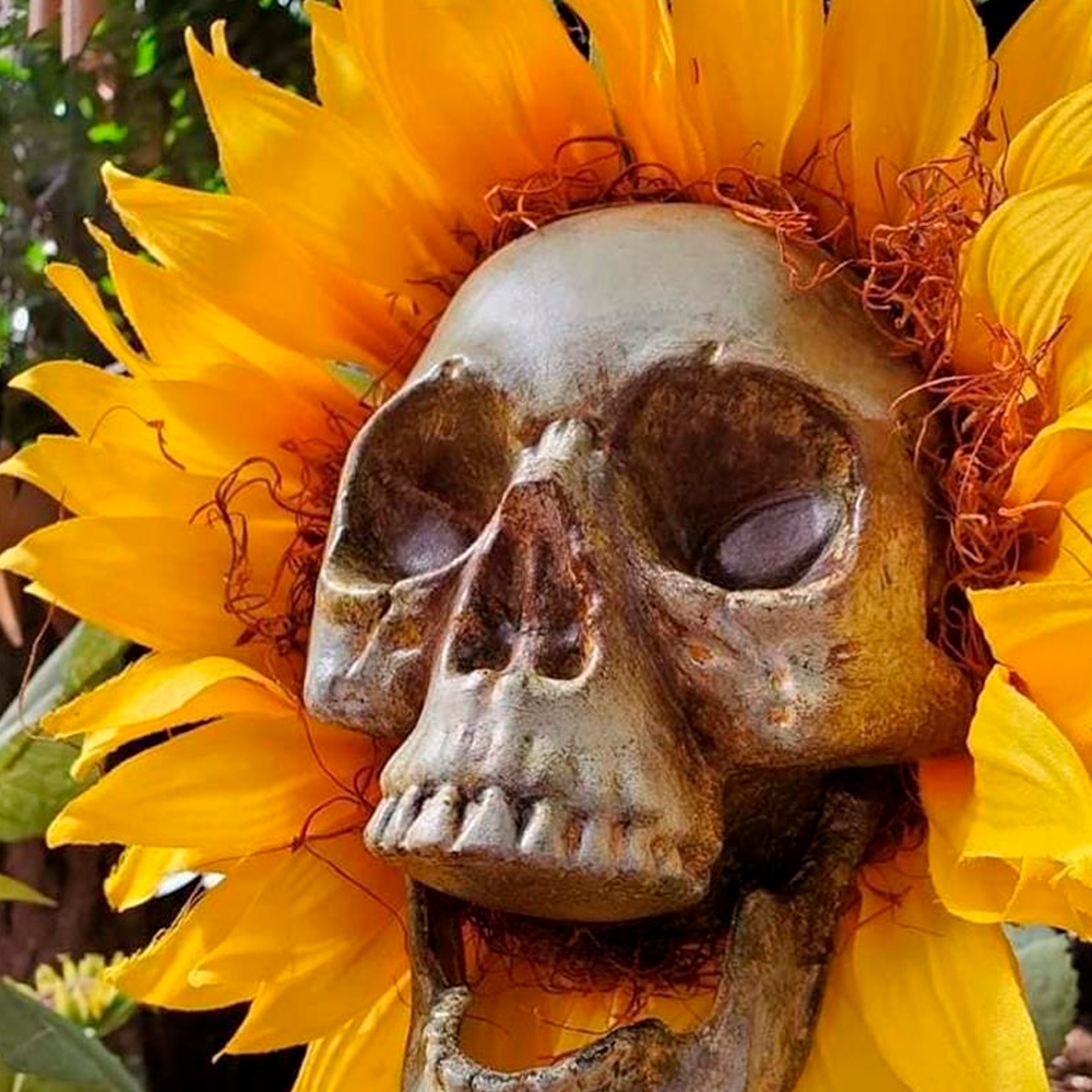 skullsunflowers4.png