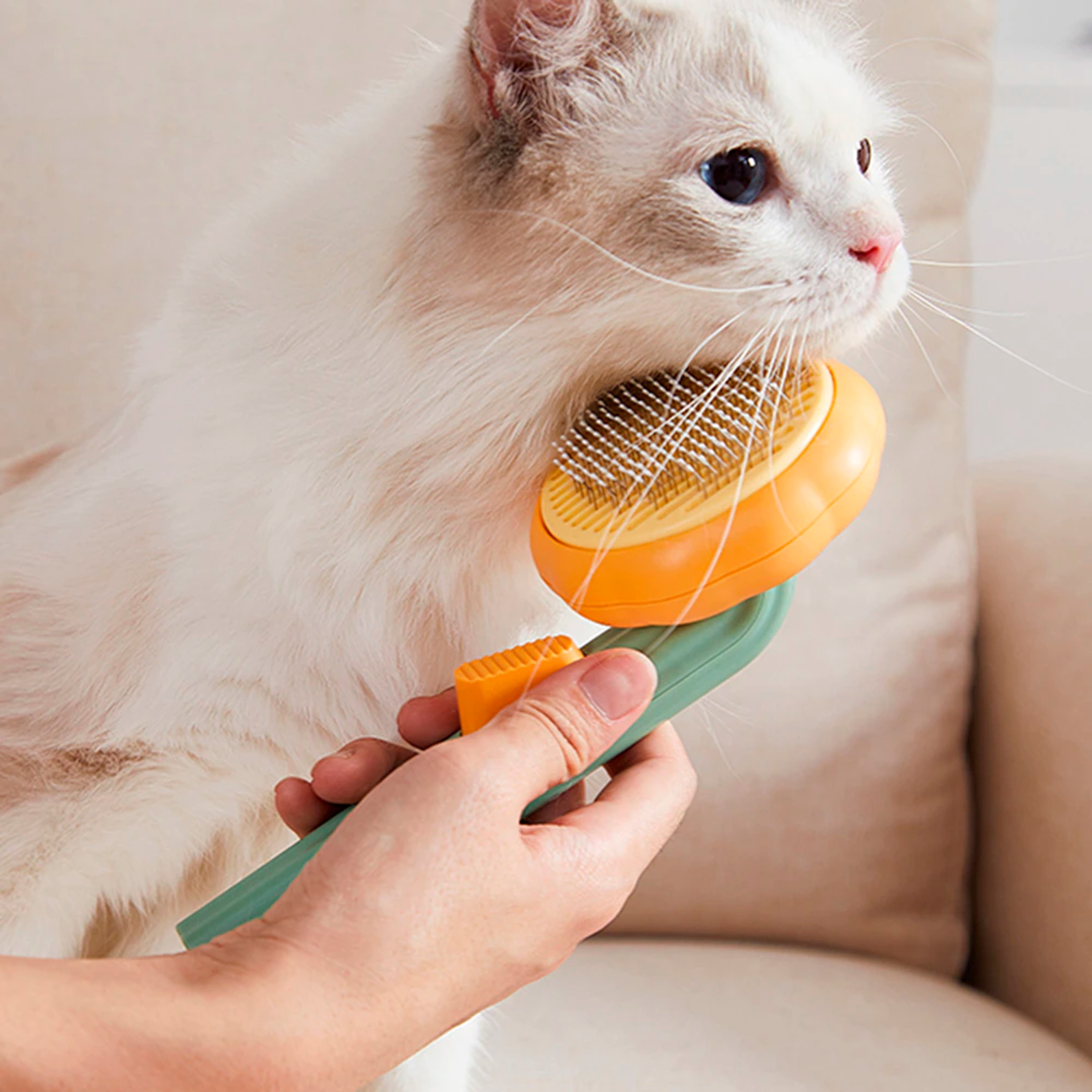 pumpkinbrushpetdeshedder1.png