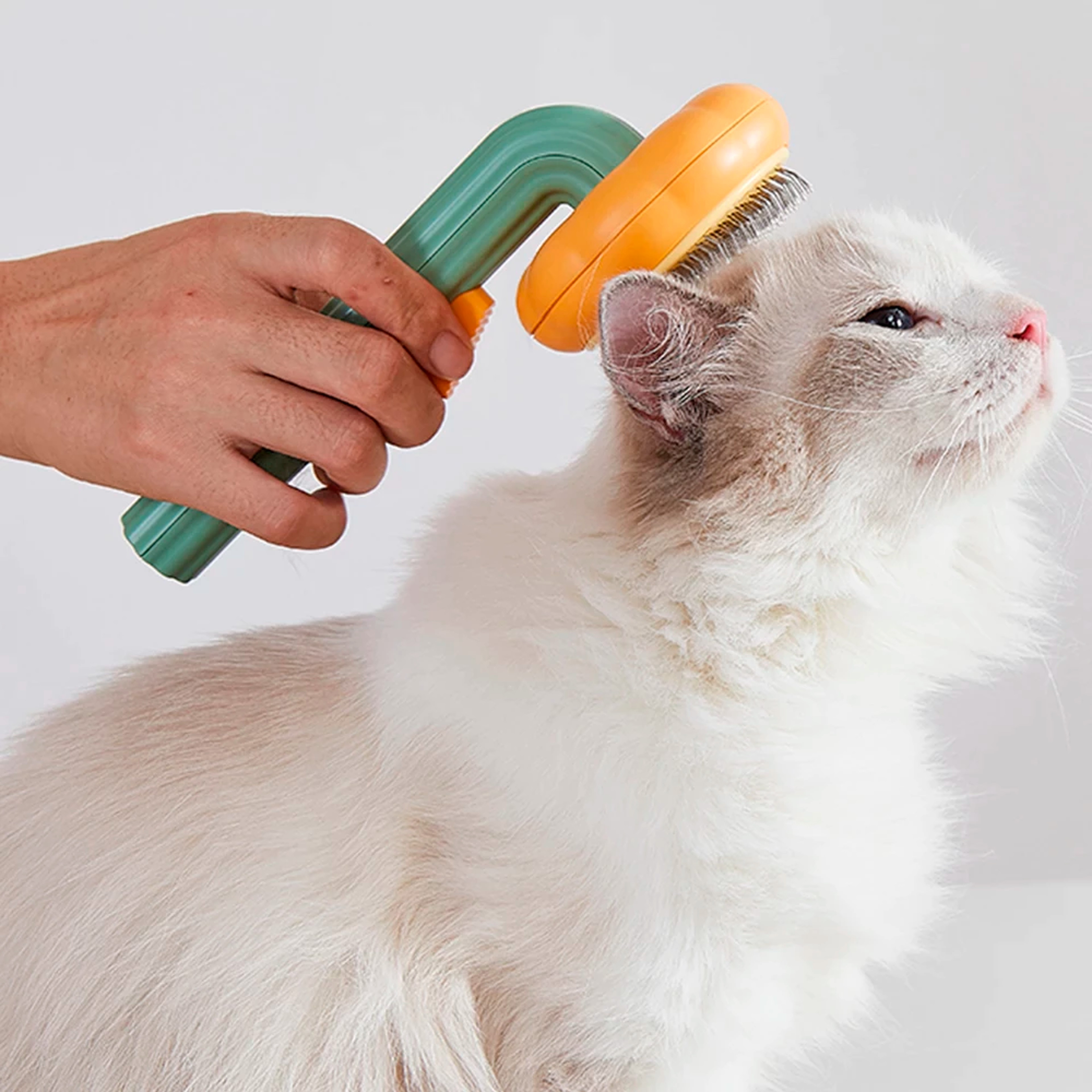 pumpkinbrushpetdeshedder4.png
