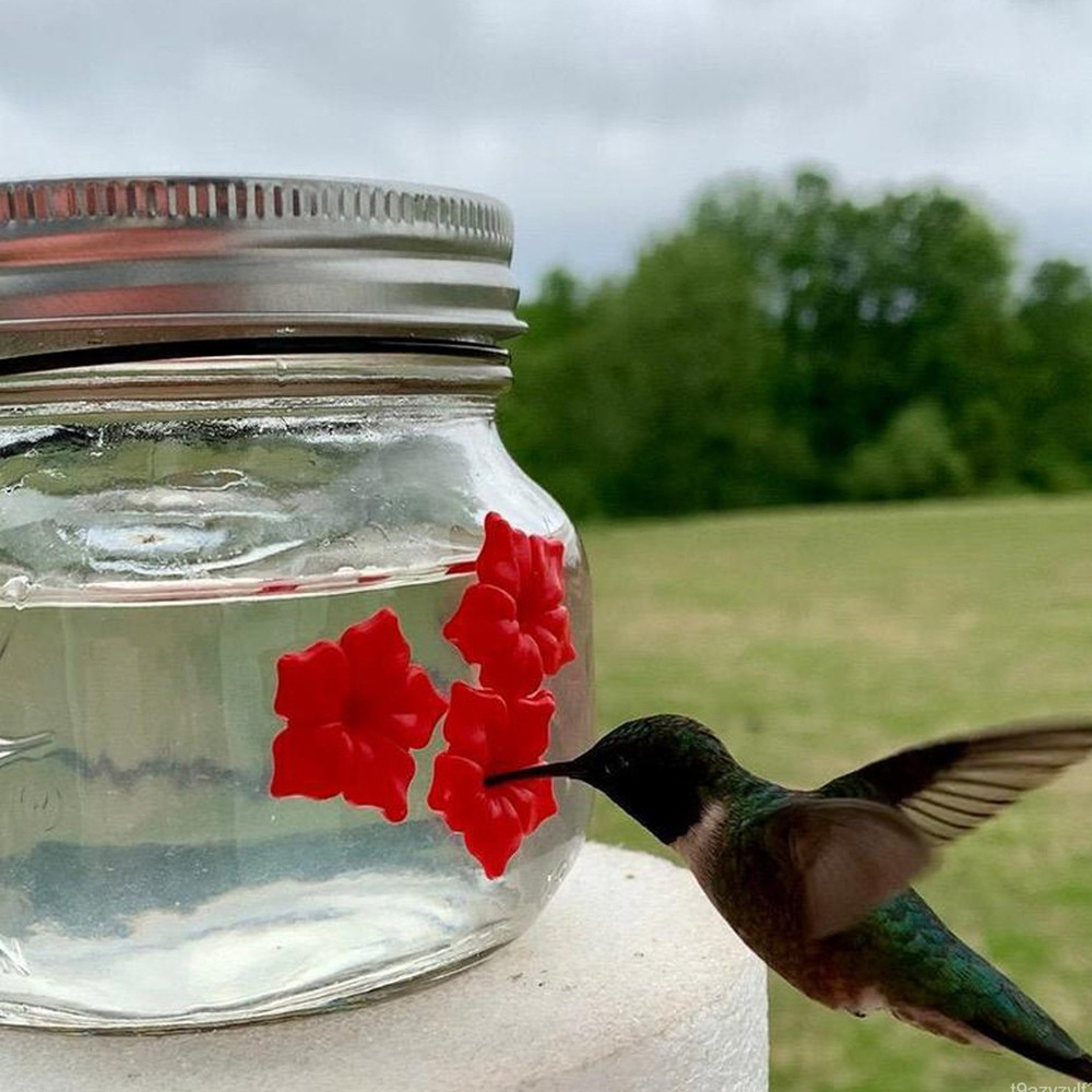 hummingbirdfeederplasticflowerbirdfeeder1.png