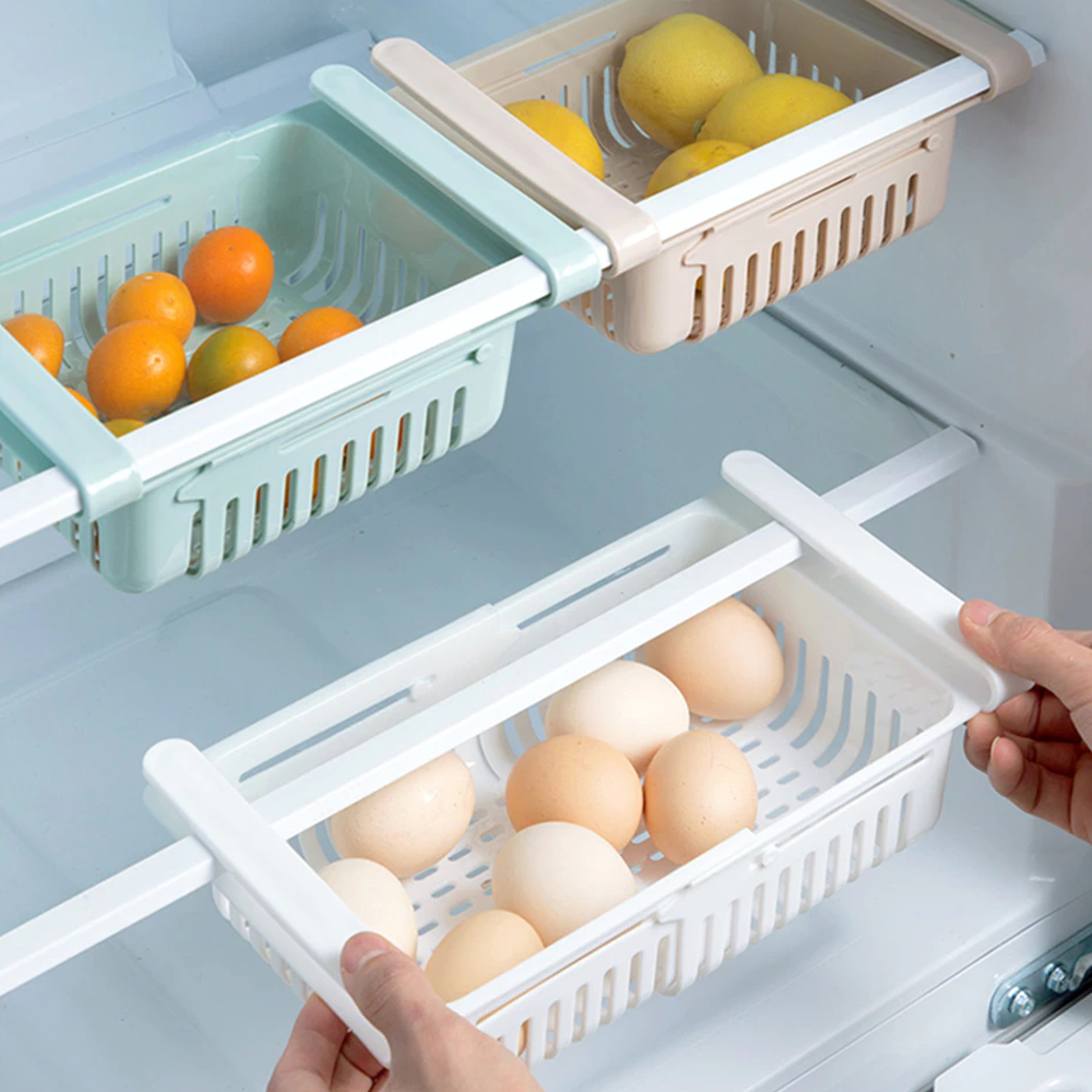 extendablecliponfridgecontainer2.png