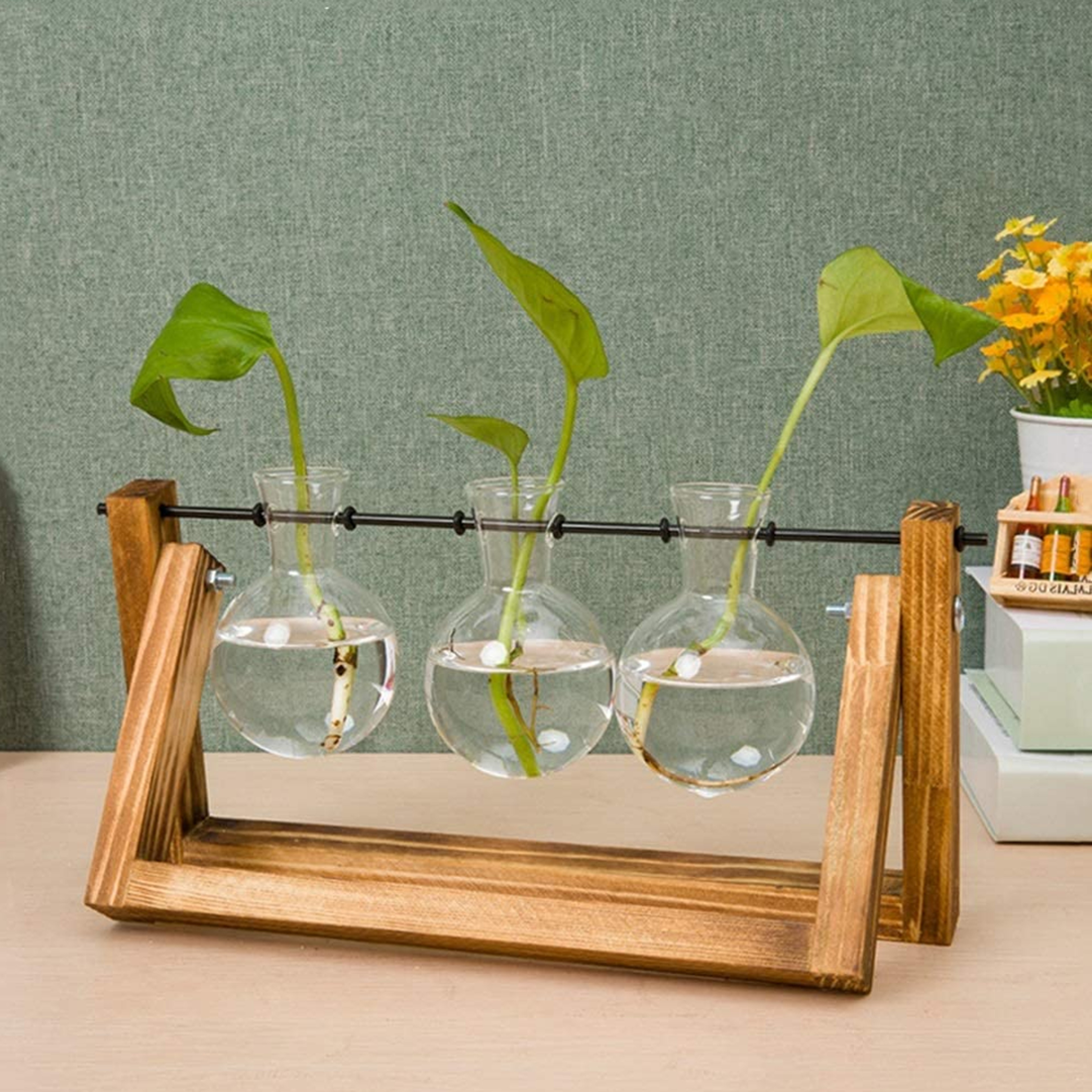 Vintage Hydroponic Plant Vase 9