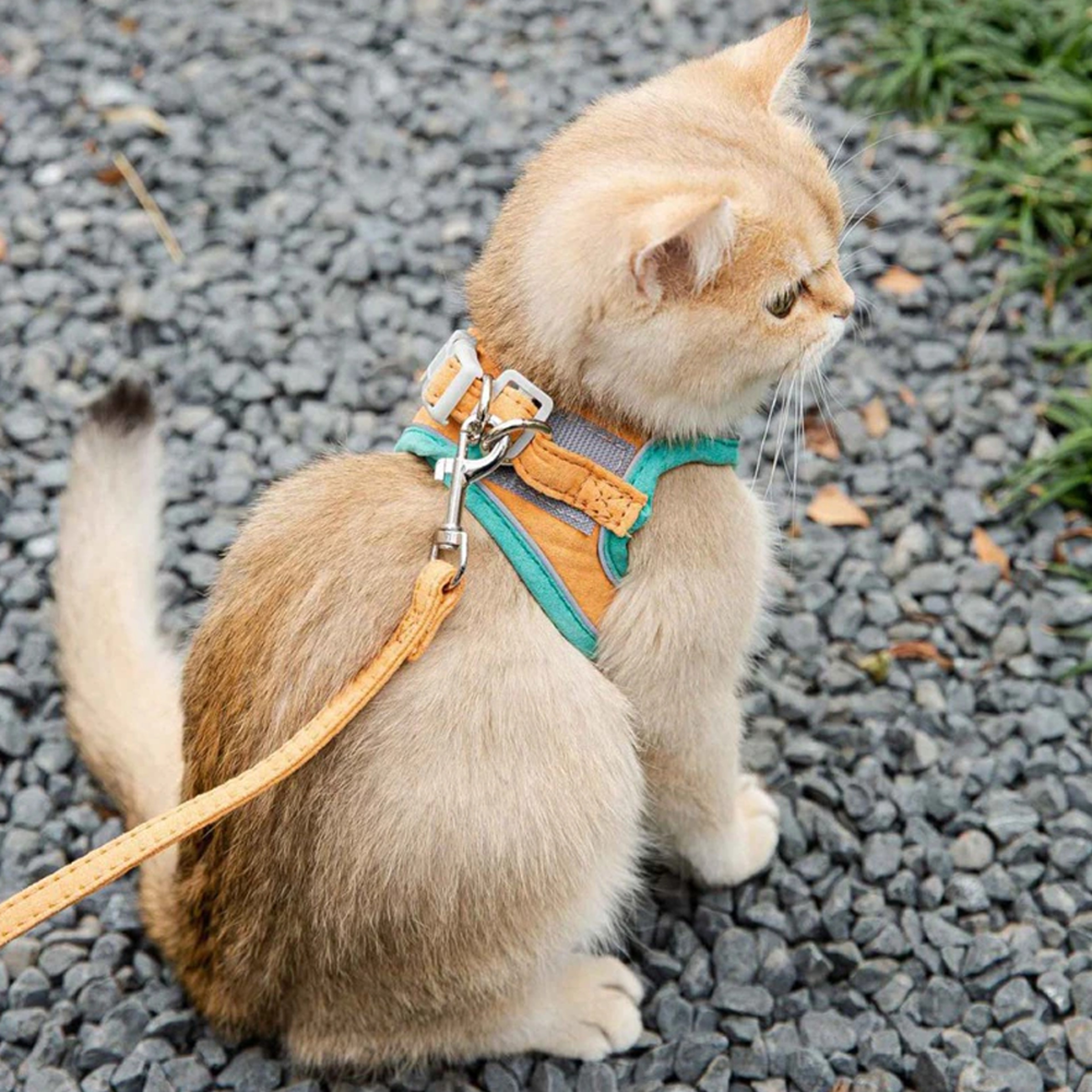 cat harness vest escape proof