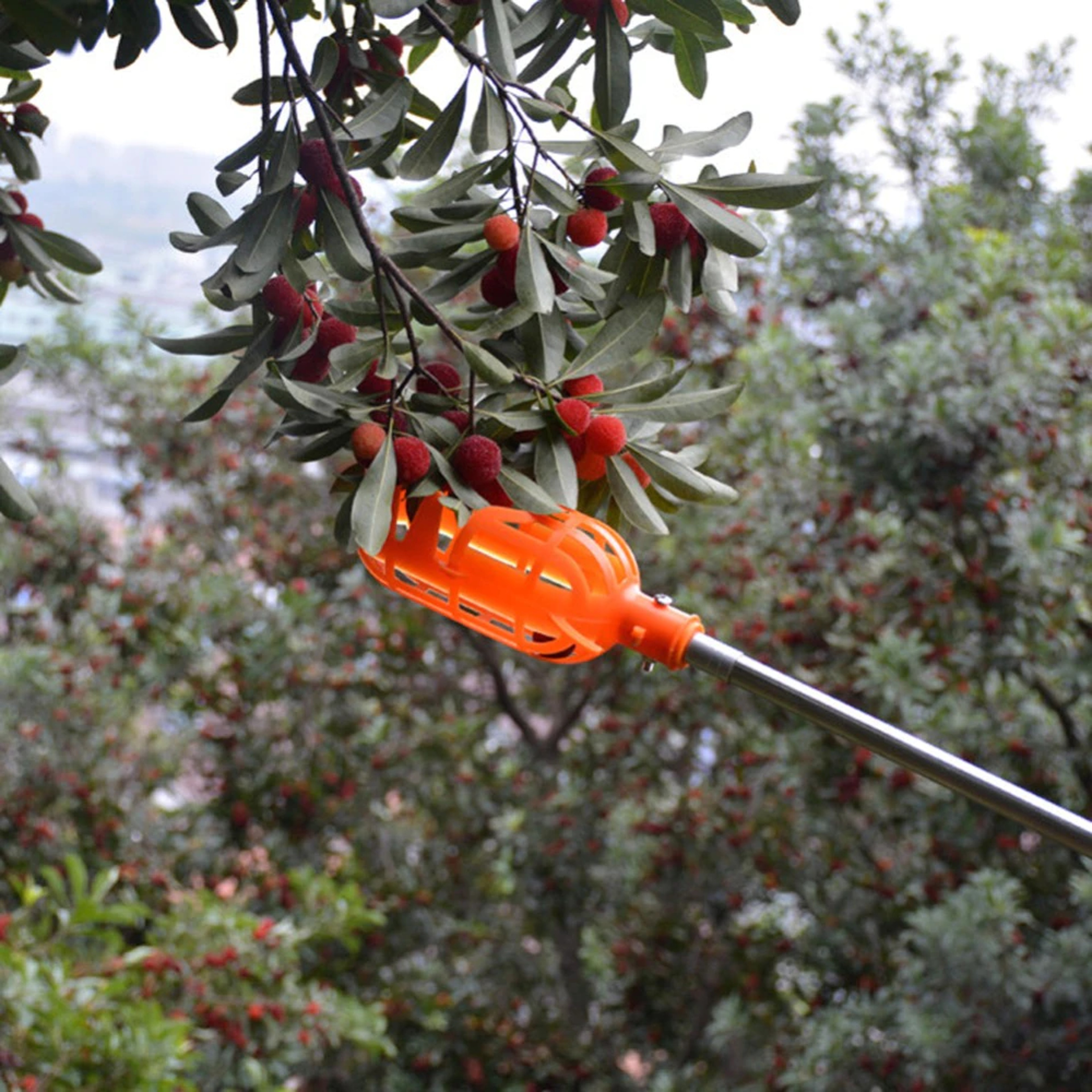 easyfruit2In1pickerbasket1.png