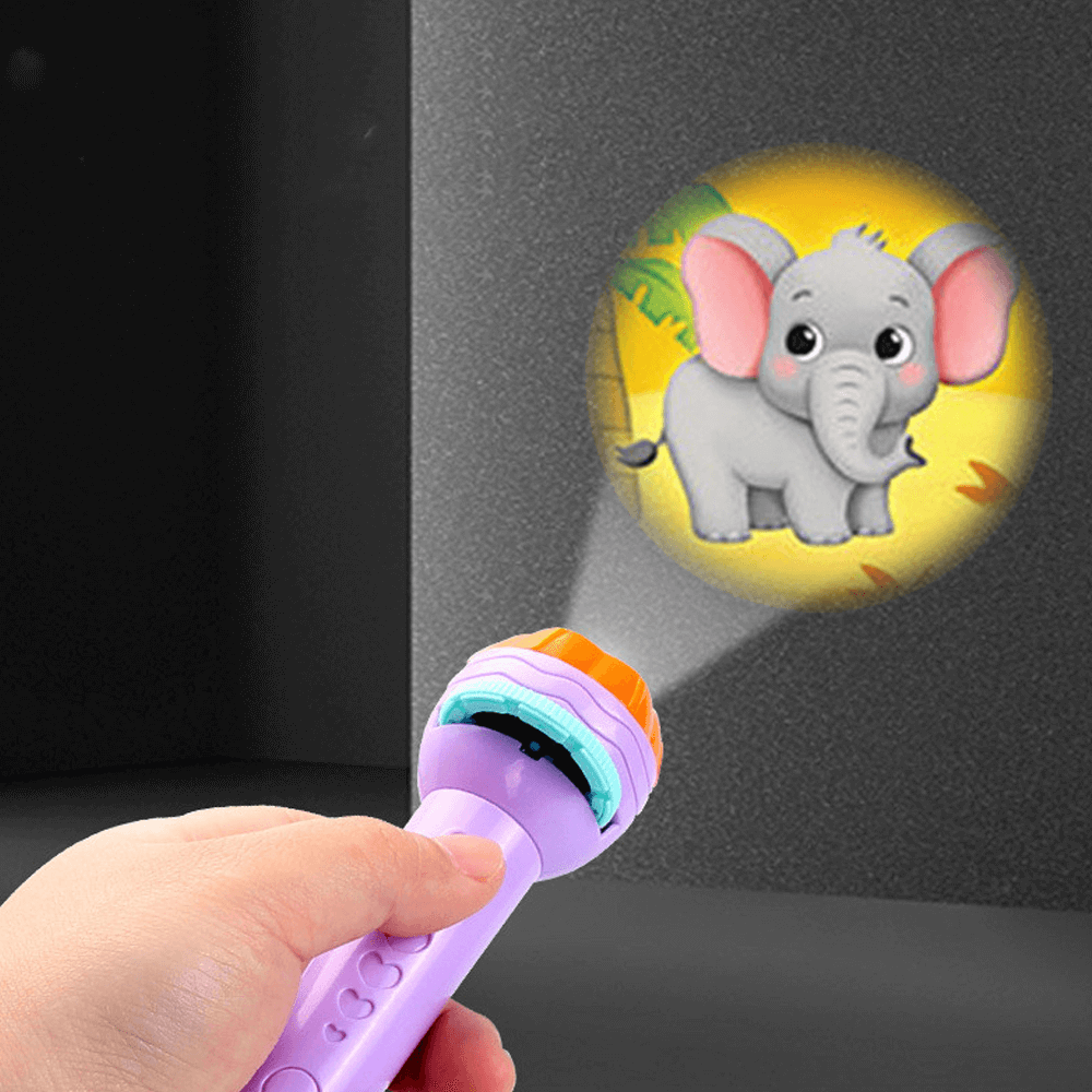 Educational Flashlight Projector Toy for Kids