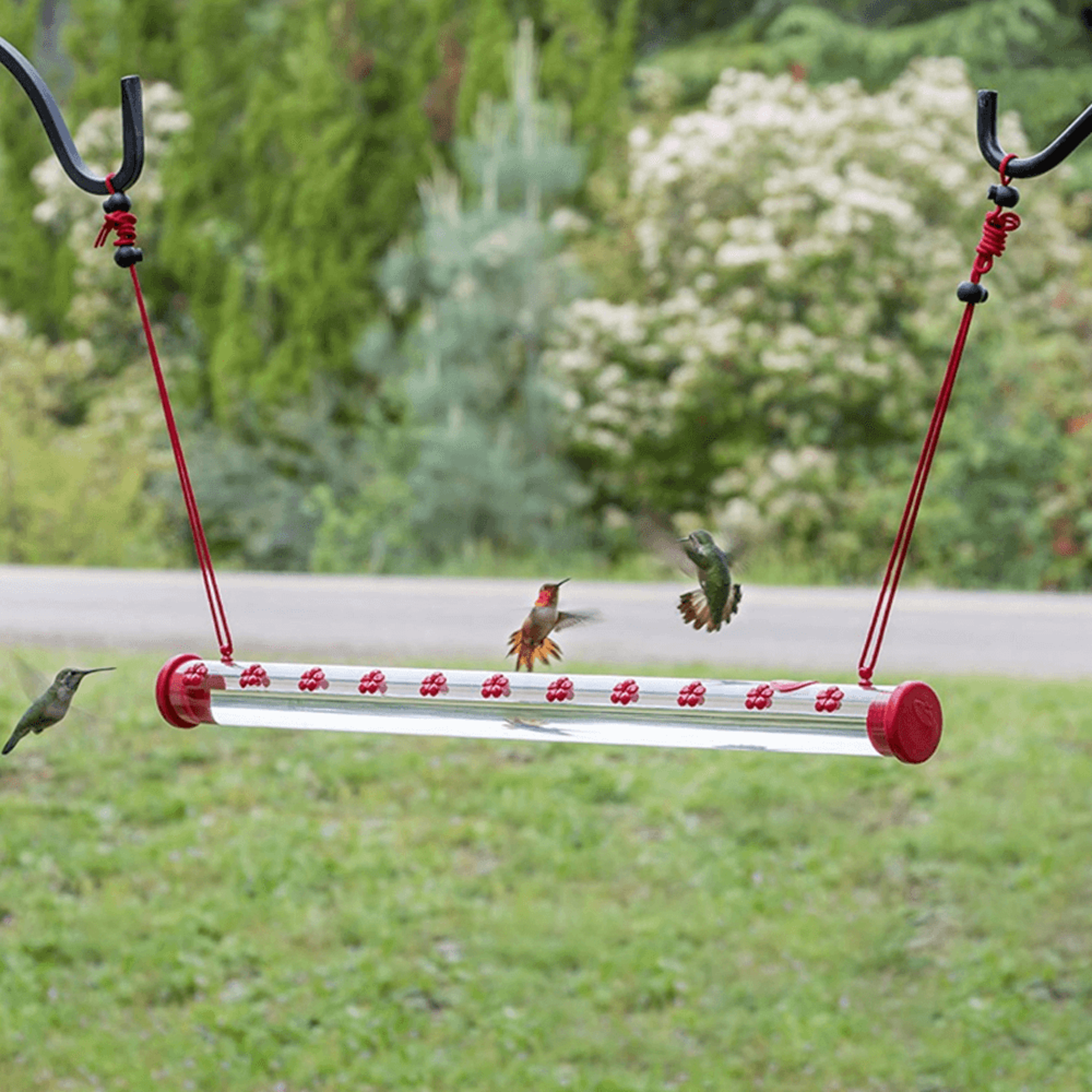 birdfriendshummingbirdfeeder2png