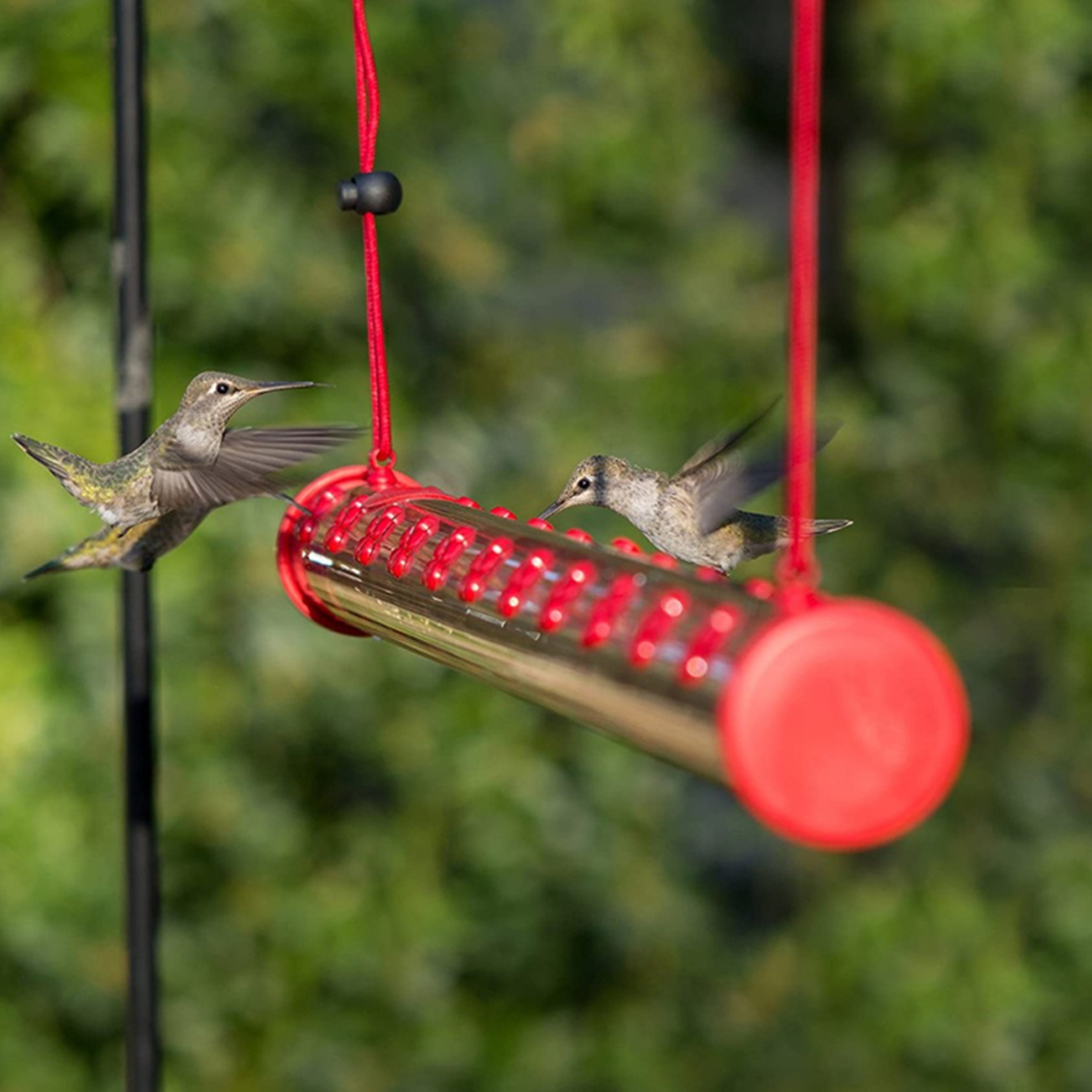birdfriendshummingbirdfeeder3png