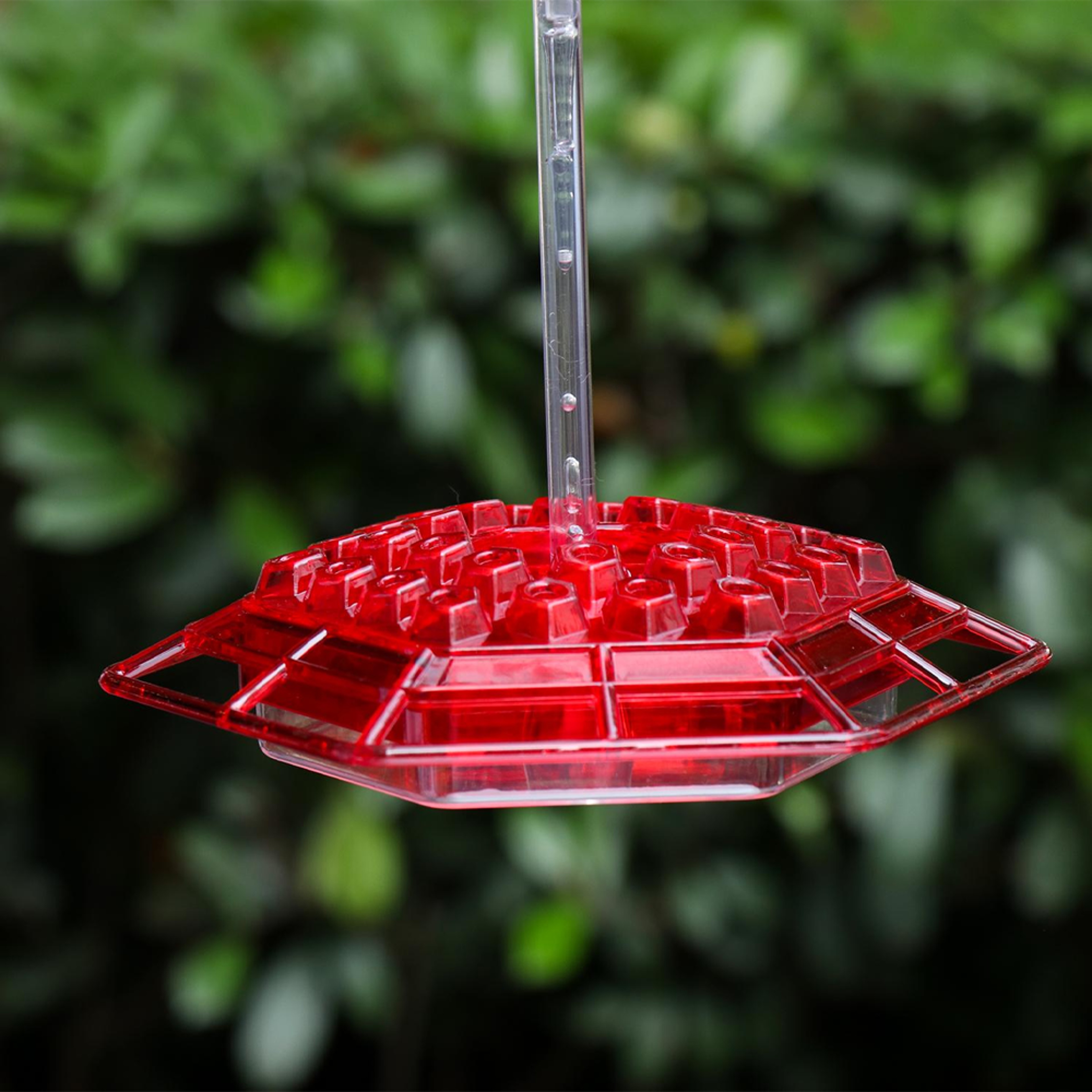 maryshummingbirdfeederwwithperchantandbuiltinantmoat2.png
